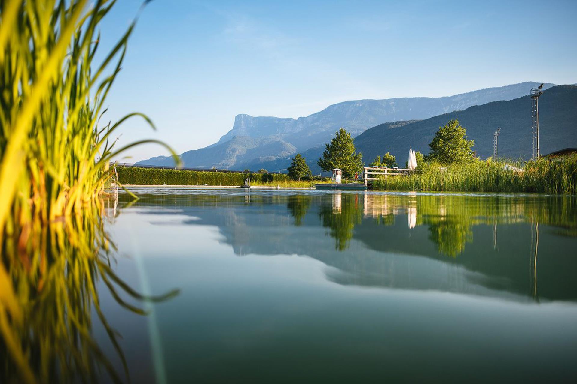 Piscina naturale Gargazzone Gargazzone 4 suedtirol.info