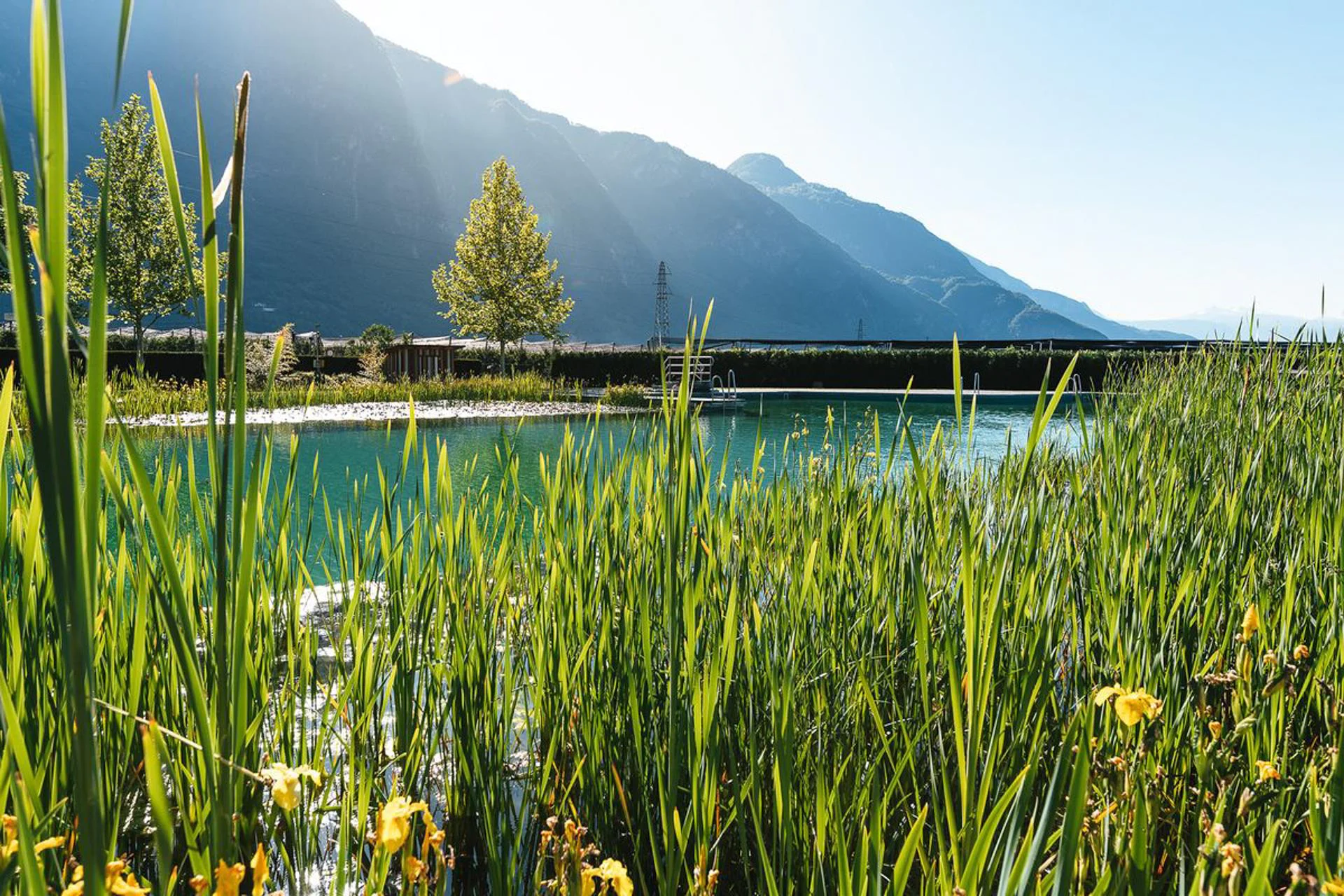 Natural Swimming Bath Gargazon Gargazon/Gargazzone 6 suedtirol.info