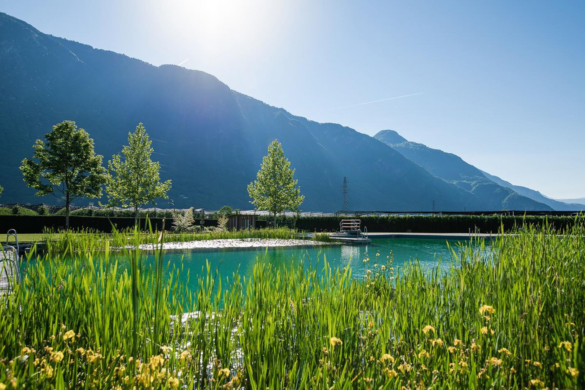 Piscina naturale Gargazzone Gargazzone 8 suedtirol.info