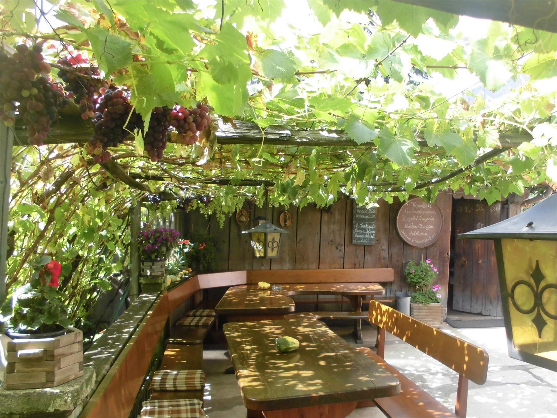Natural Heritage Vine White Heunischer Partschins/Parcines 5 suedtirol.info