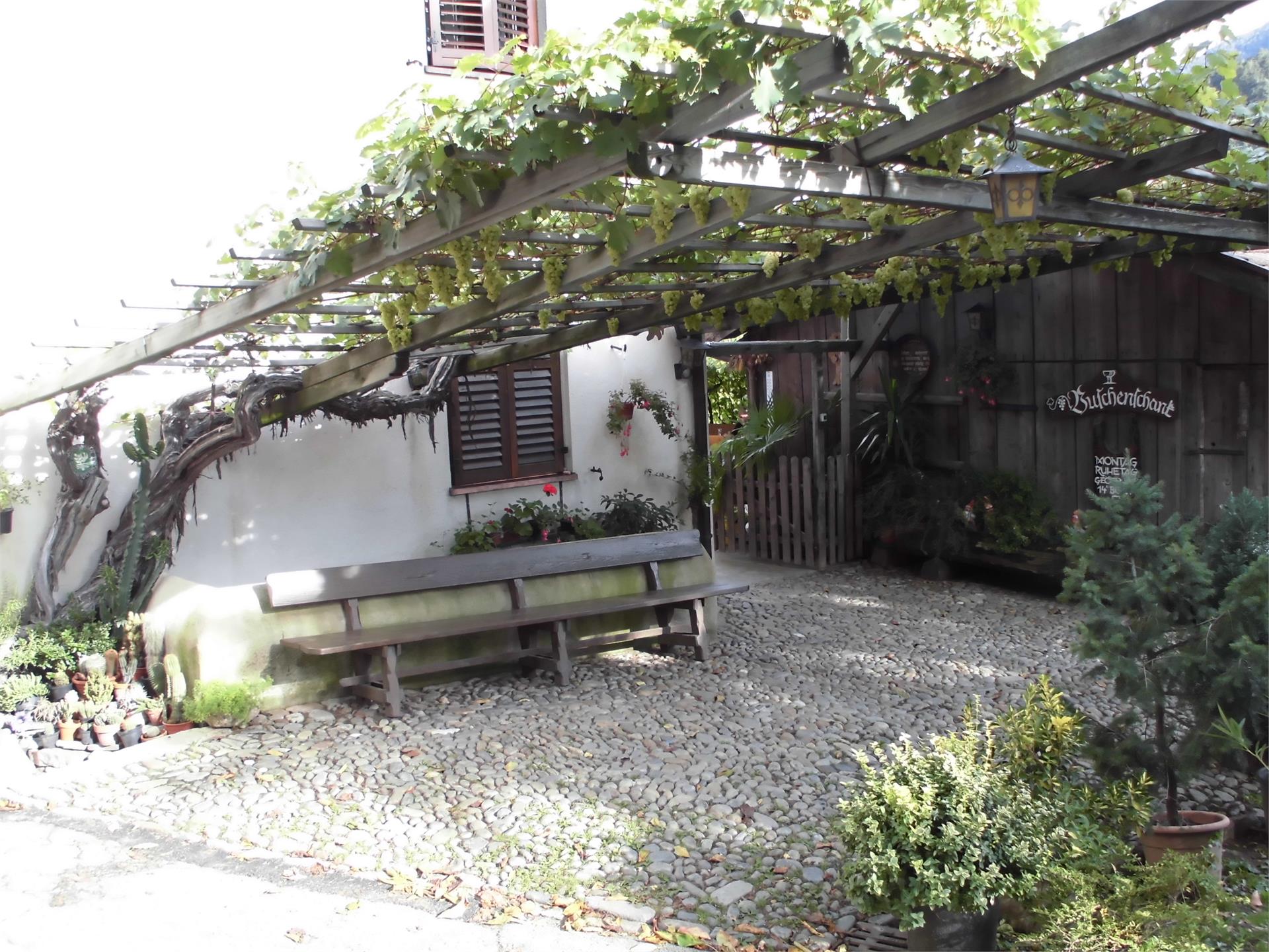 Natural Heritage Vine White Heunischer Partschins/Parcines 6 suedtirol.info