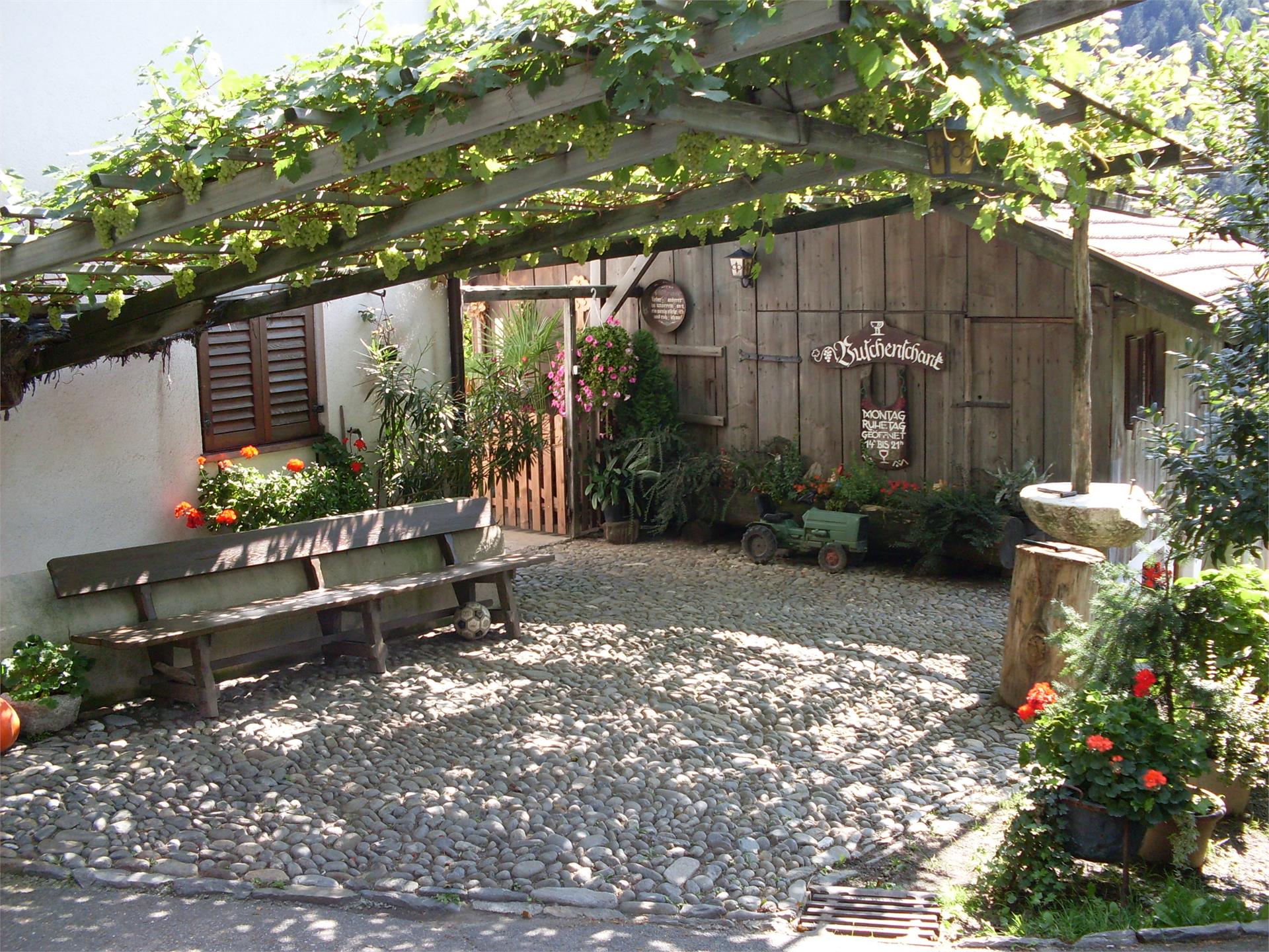 Natural Heritage Vine White Heunischer Partschins/Parcines 2 suedtirol.info