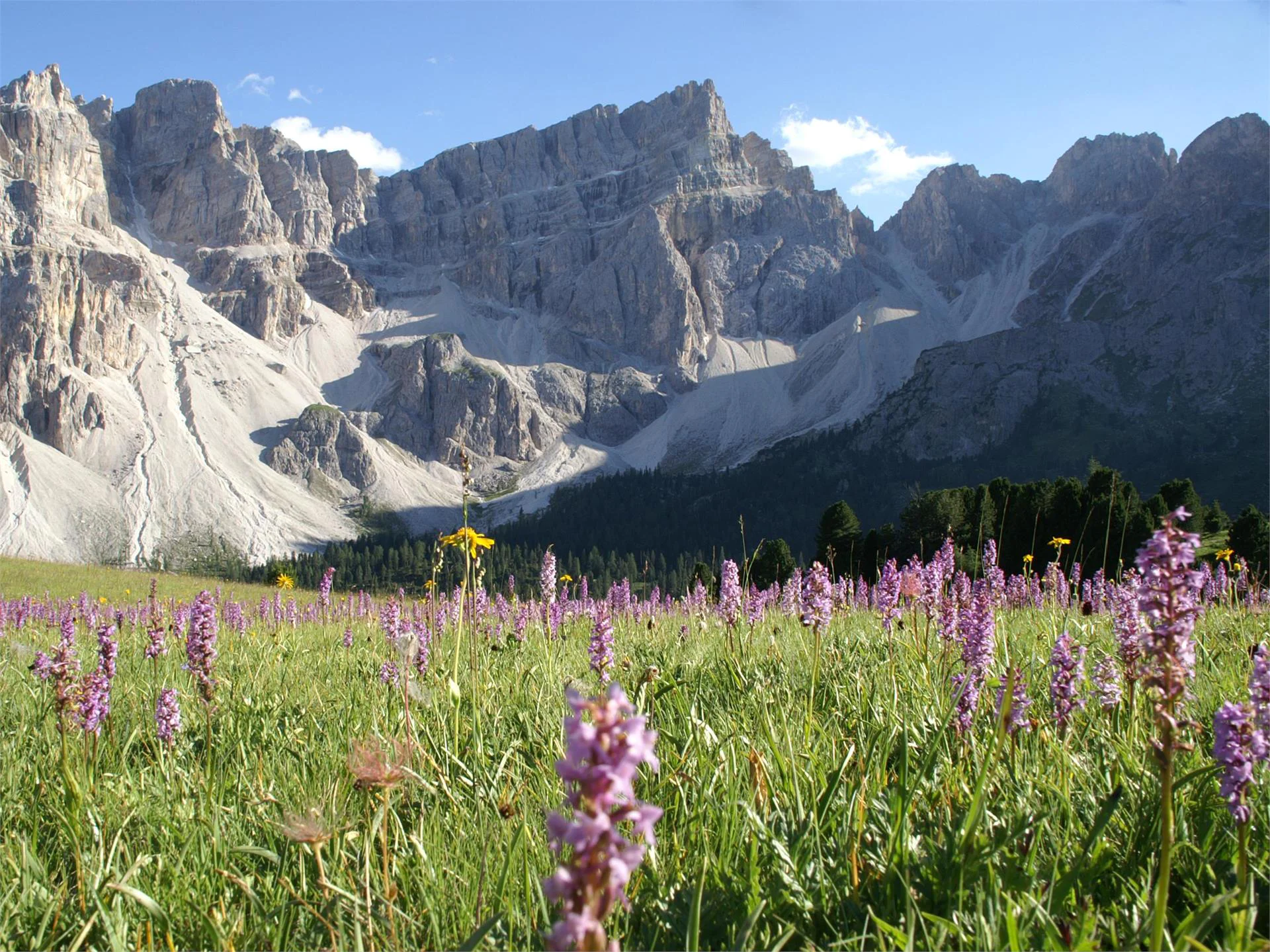 Parco Naturale Puez-Odle San Martino 3 suedtirol.info