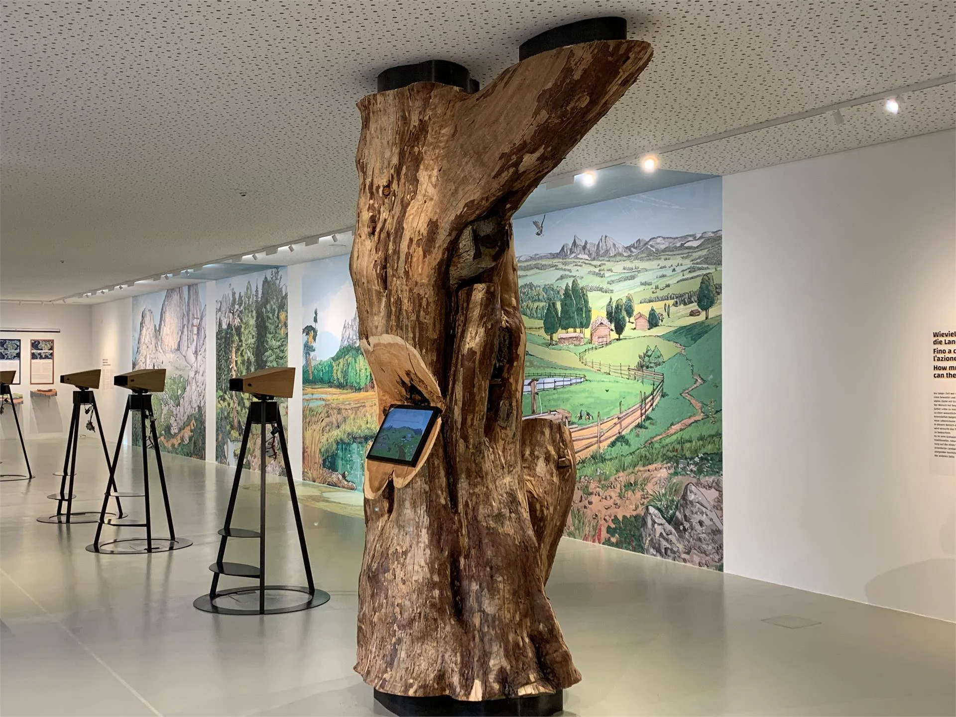 Naturparkhaus Schlern-Rosengarten Seis Kastelruth 5 suedtirol.info