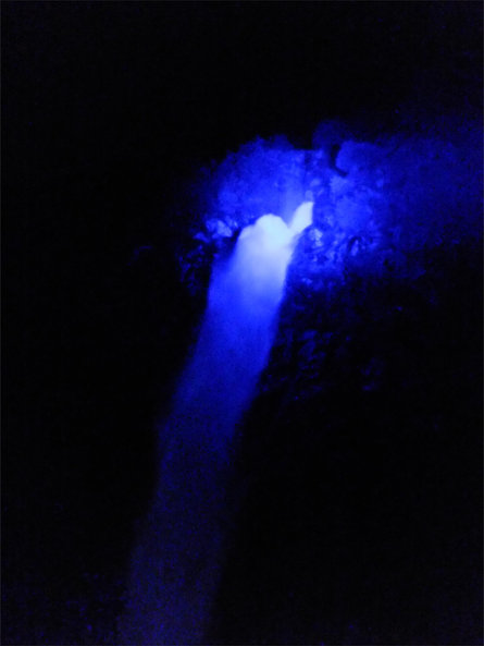 Naturdenkmal Partschinser Wasserfall  10 suedtirol.info