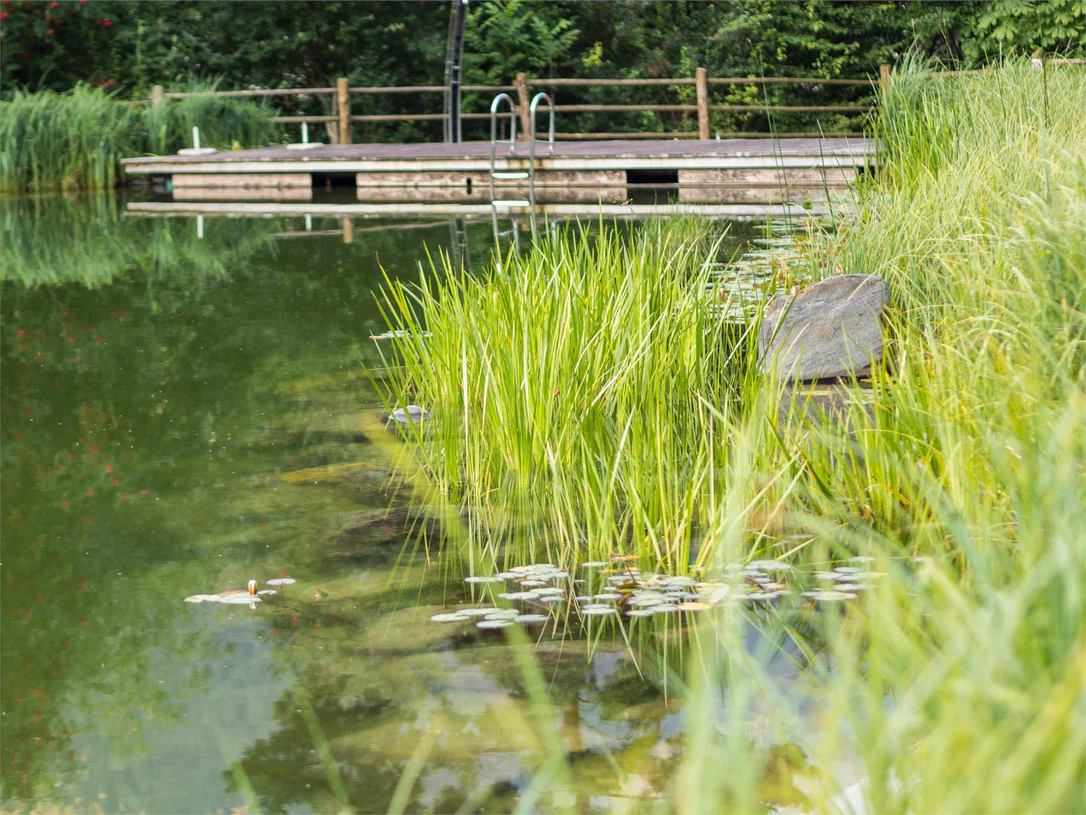 Natural bathing pond Lüsen