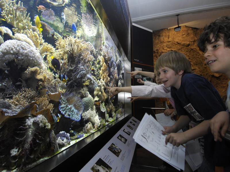 Museo di Scienze Naturali dell´Alto Adige