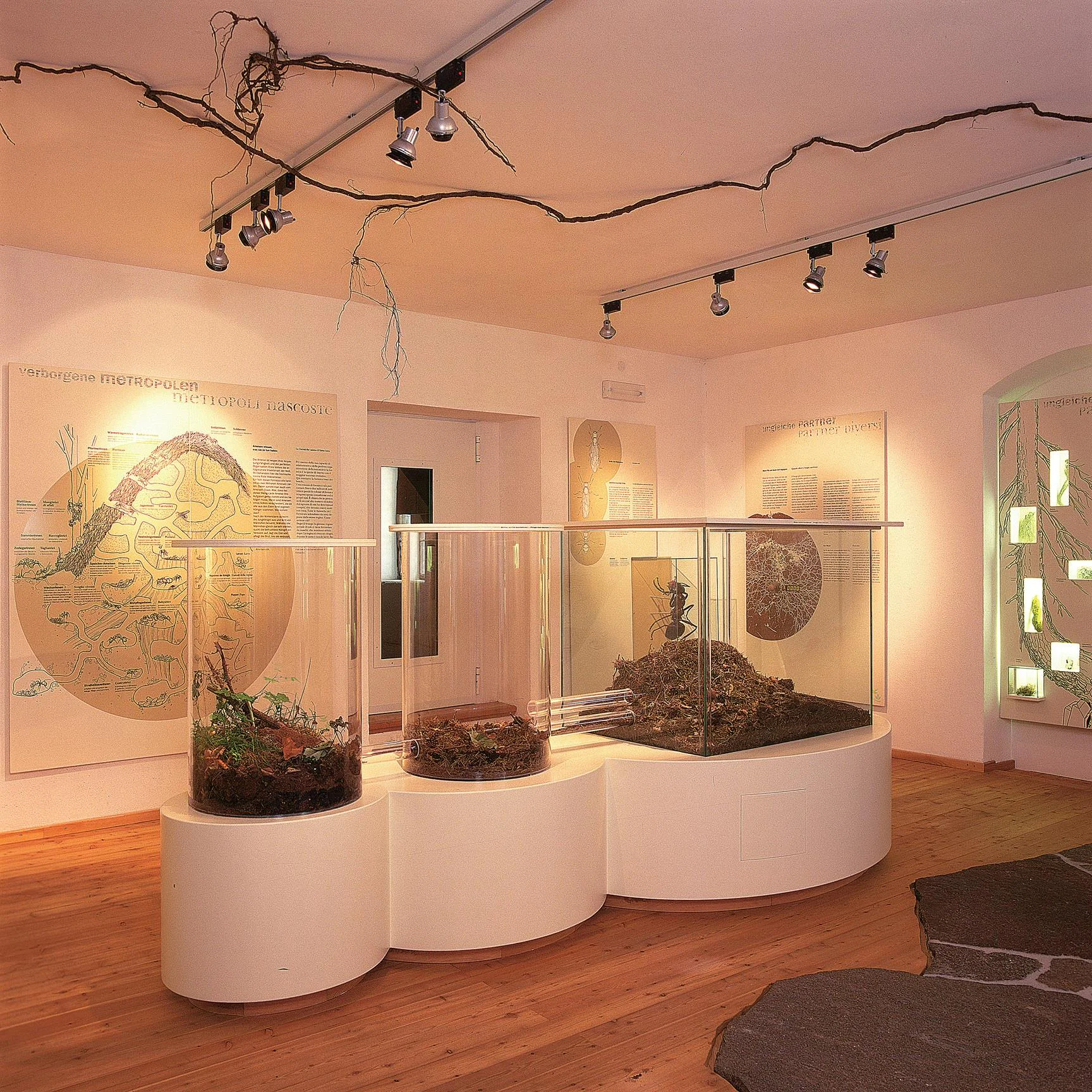Monte Corno Nature Park visitor centre Truden/Trodena 4 suedtirol.info