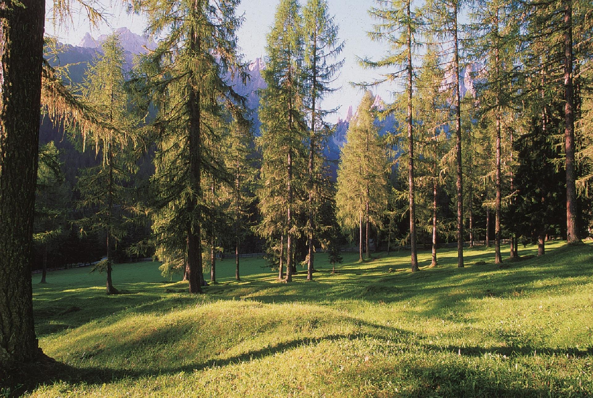Trudner Horn/Monte Corno Nature Park Truden/Trodena 2 suedtirol.info