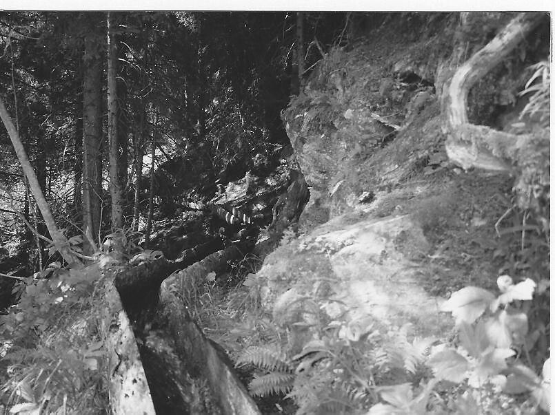 Der Nittbach