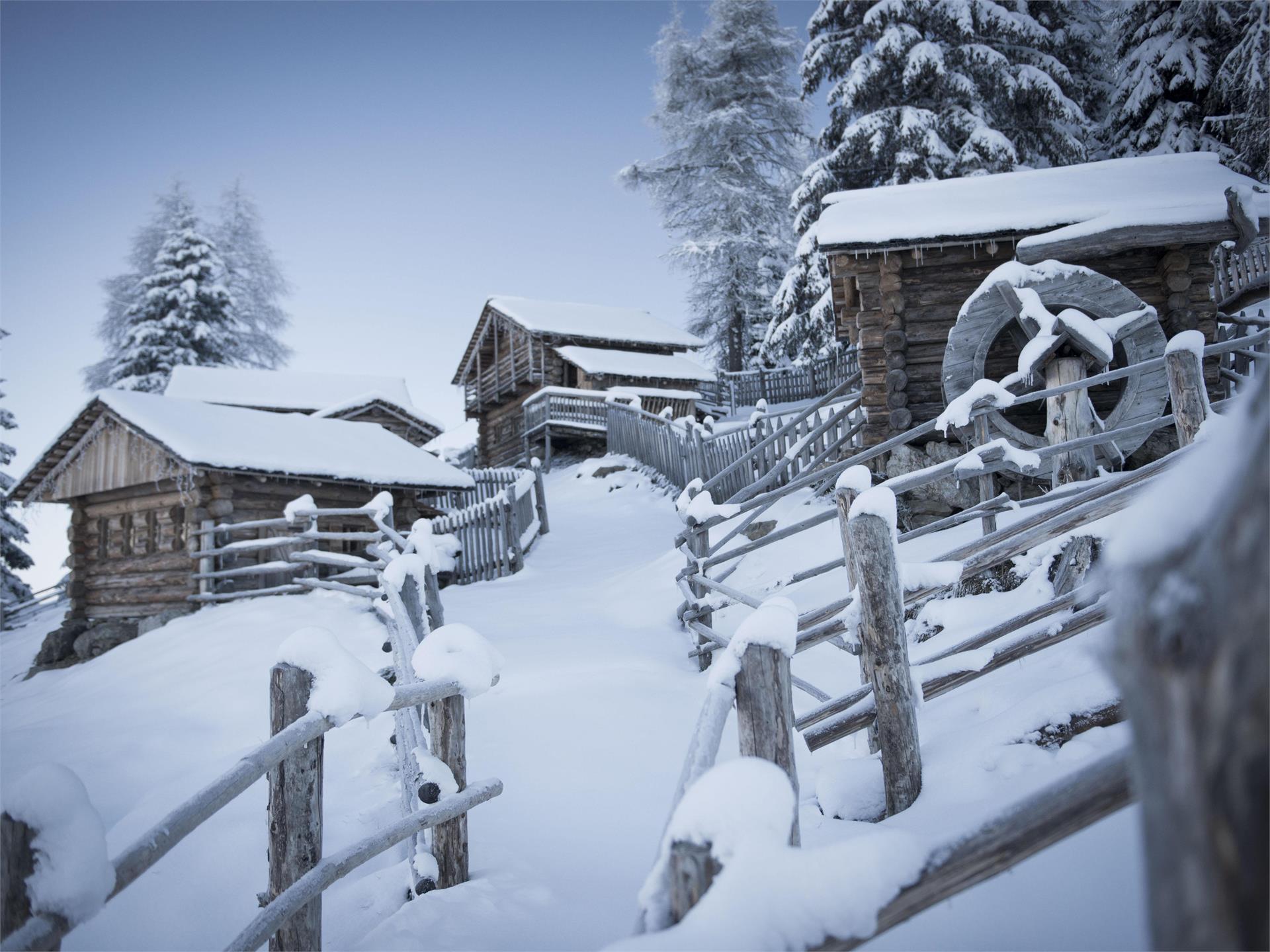 Parco Naturale dell' Olperl Sesto 1 suedtirol.info