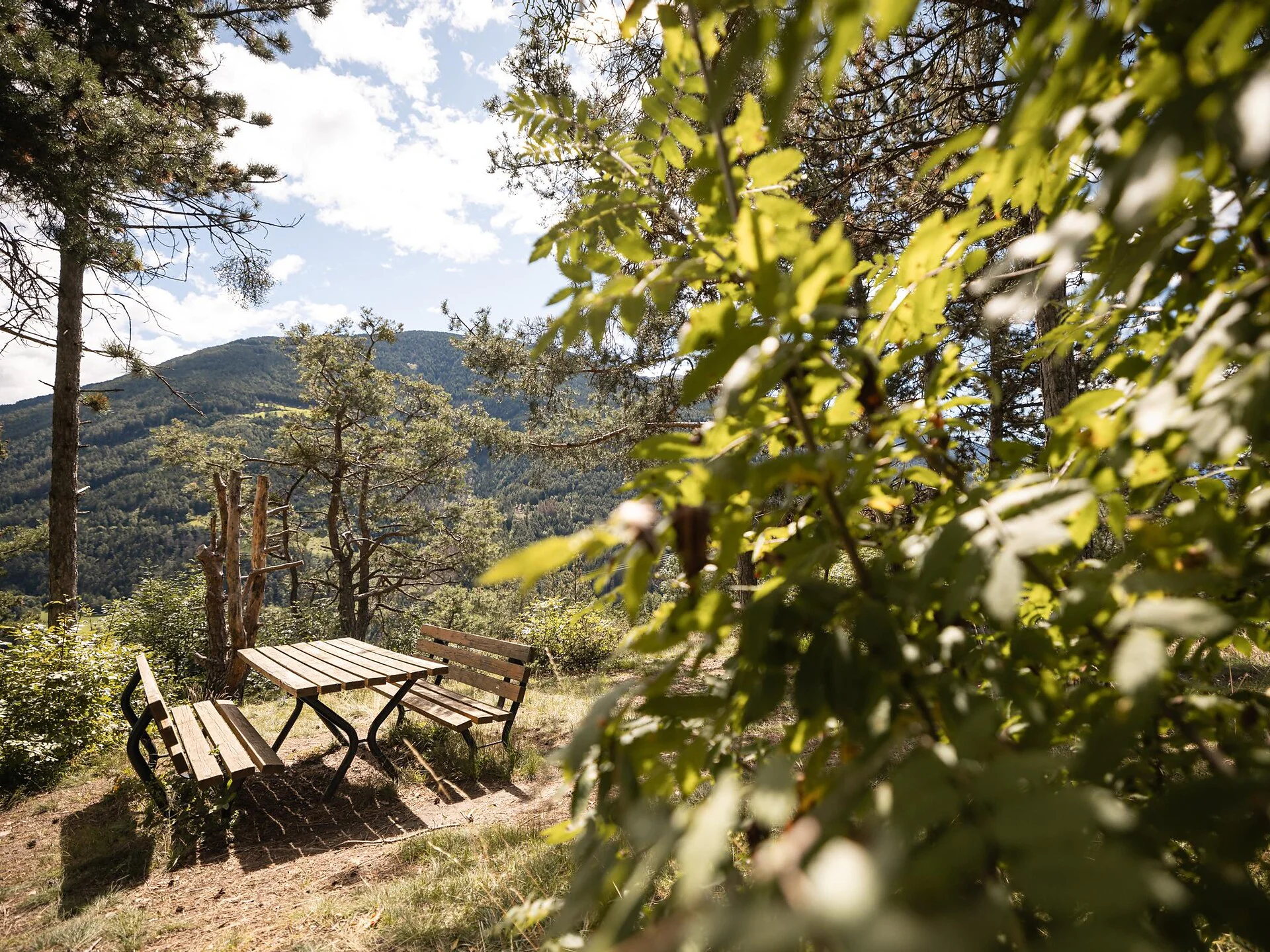 Ölberg, Naz/Natz - Activities and Events in South Tyrol, image size:1920x1439