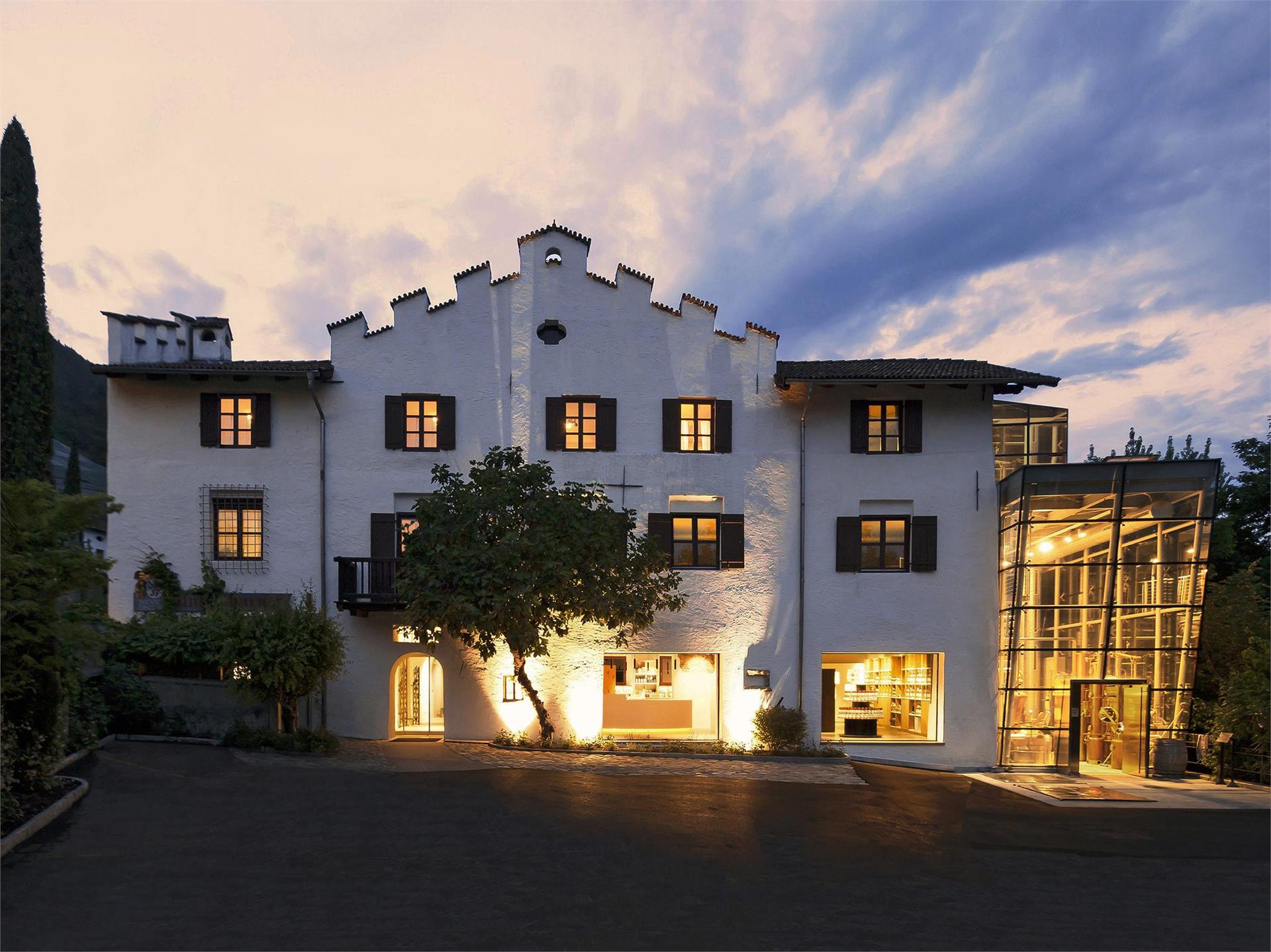 Distillery Unterthurner Marling/Marlengo 2 suedtirol.info