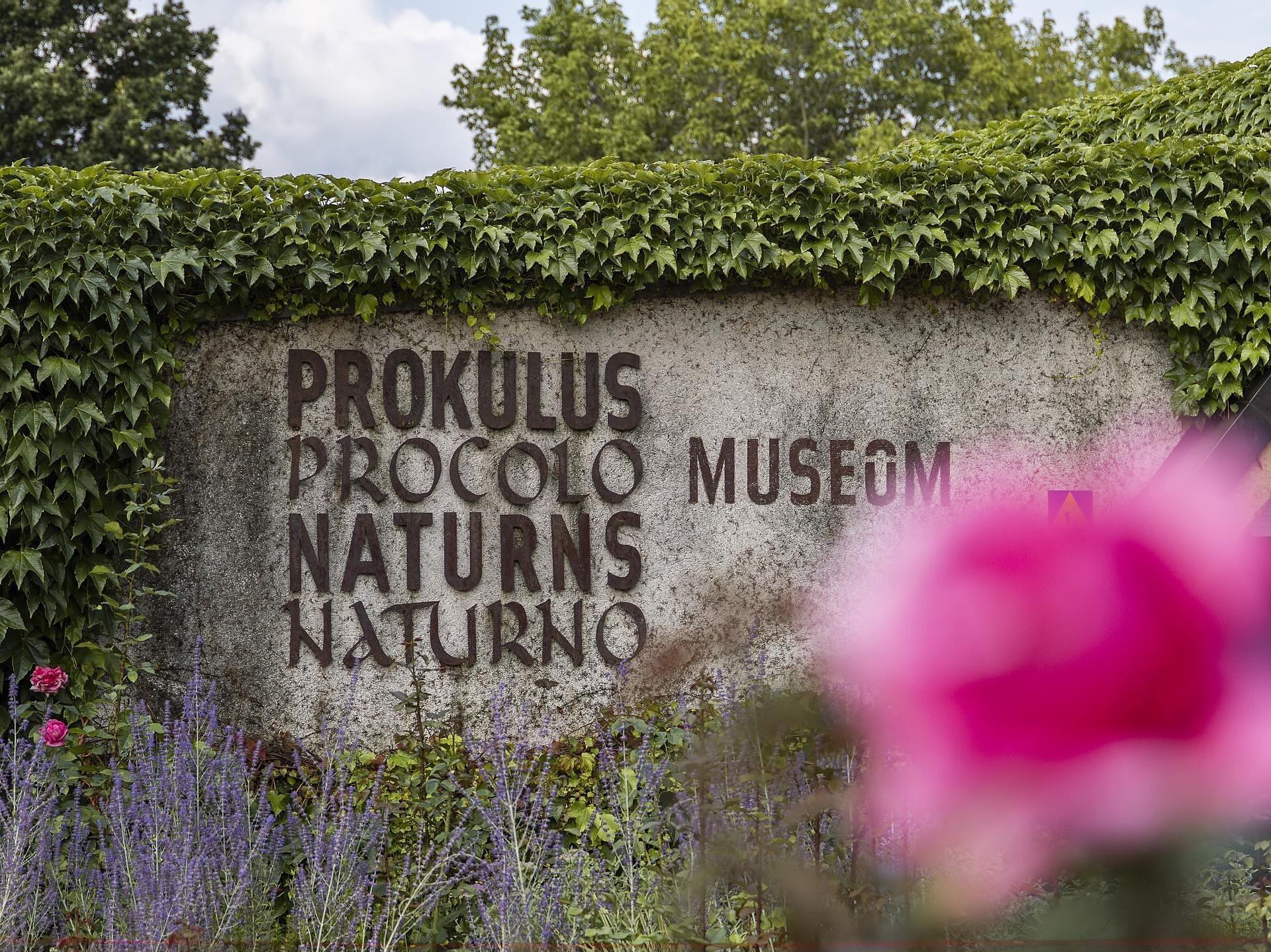 Prokulus Museum  - Meran und Umgebung - #1 - suedtirol.info