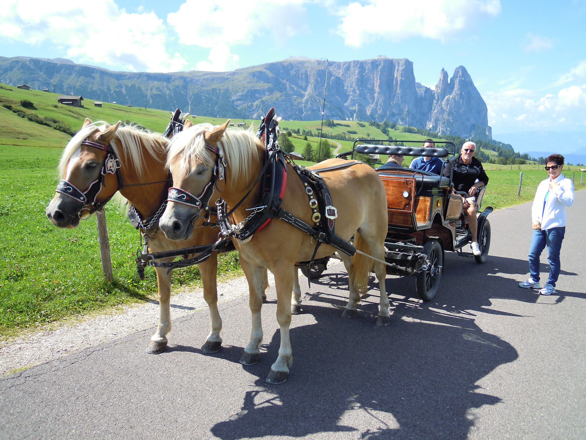 Pferdekutsche