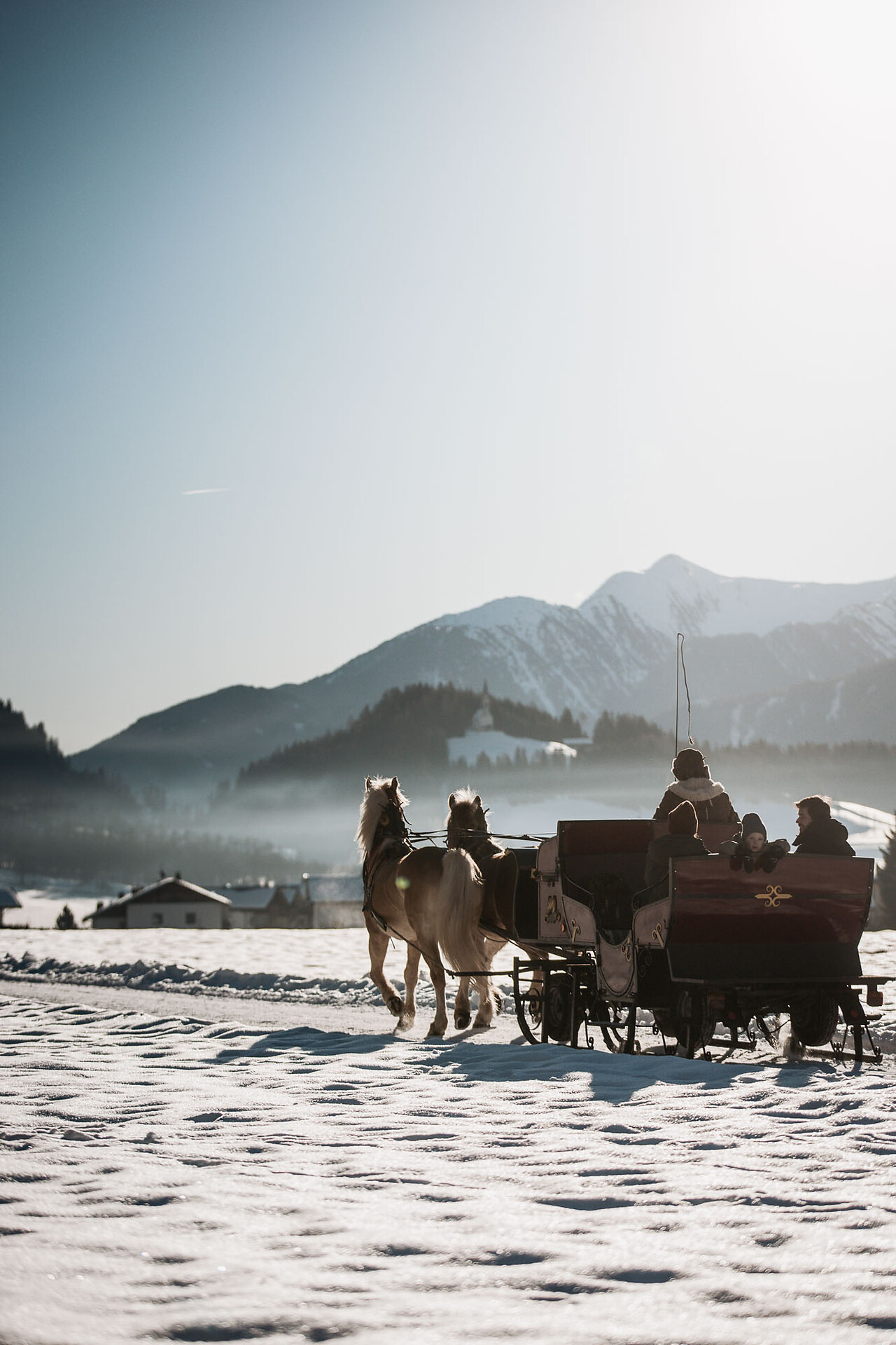 Horse sleigh ride - Sterzing/Vipiteno and environs - #2 - suedtirol.info