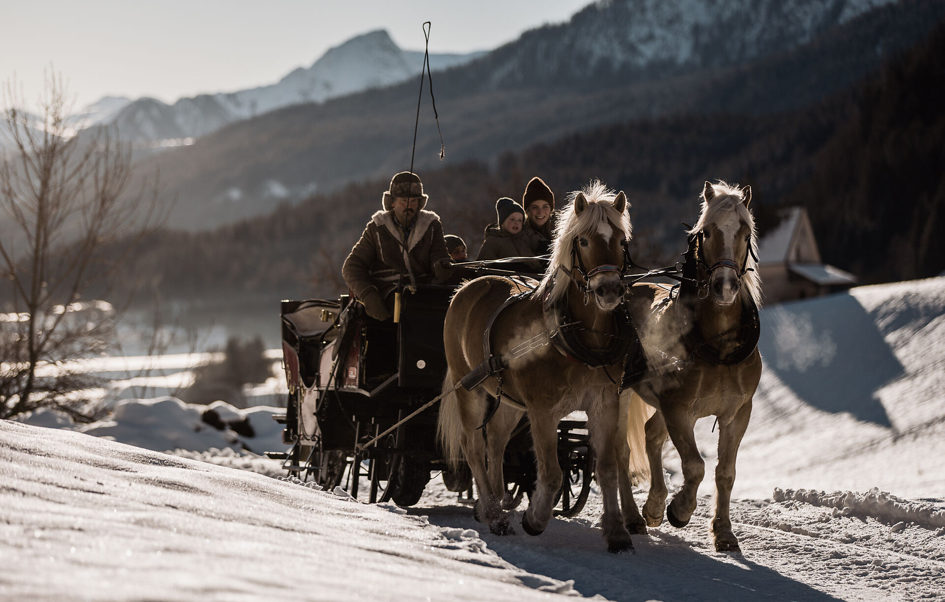 Horse sleigh ride - Sterzing/Vipiteno and environs - #1 - suedtirol.info
