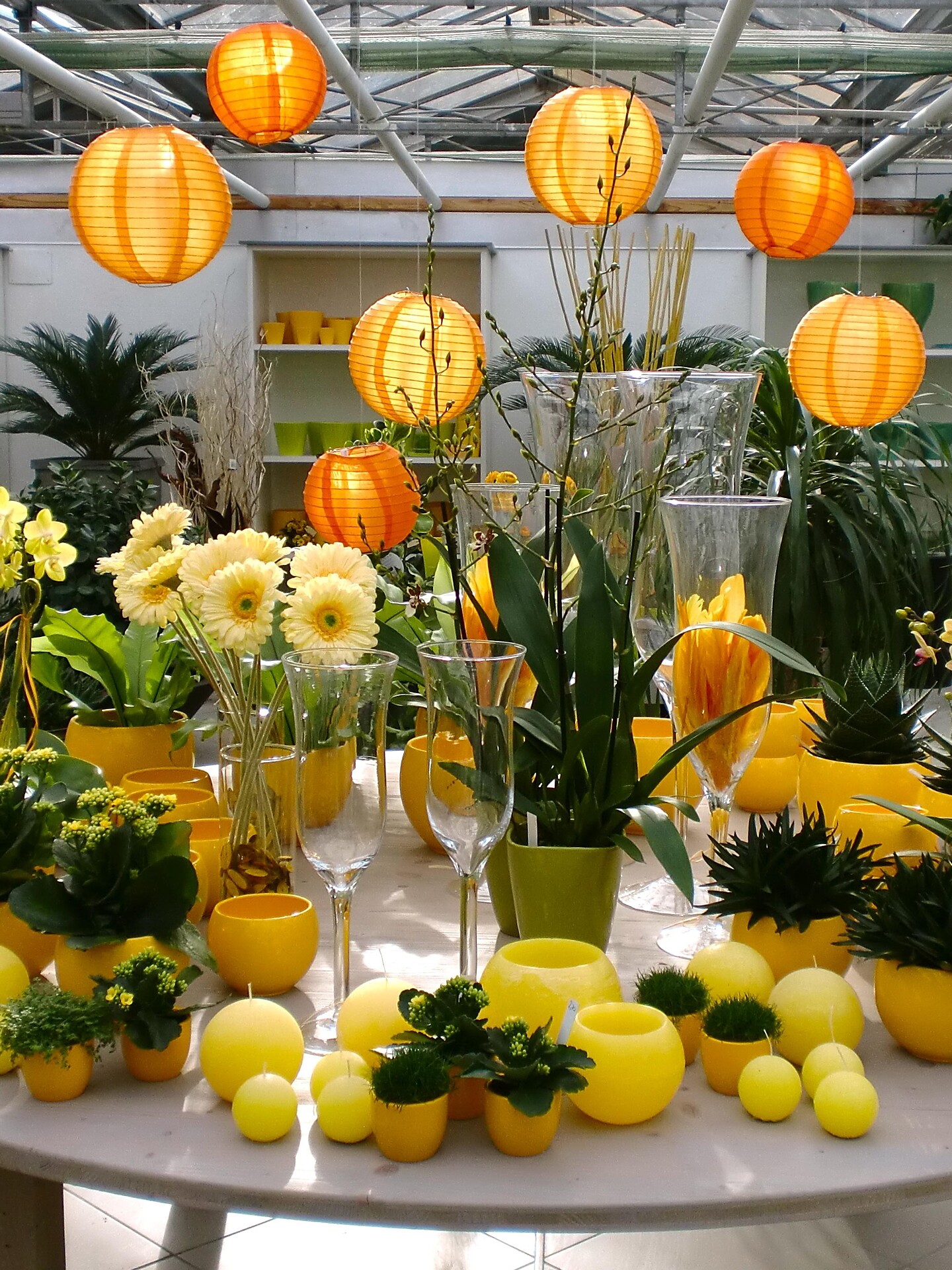 Perkmann flowers and plants