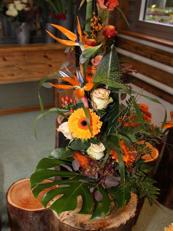 Perkmann flowers and plants