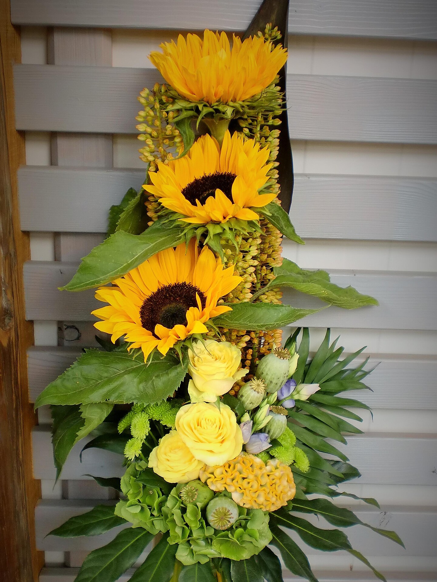 Perkmann flowers and plants