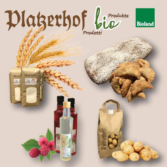 Platzerhof Welsberg-Taisten 1 suedtirol.info