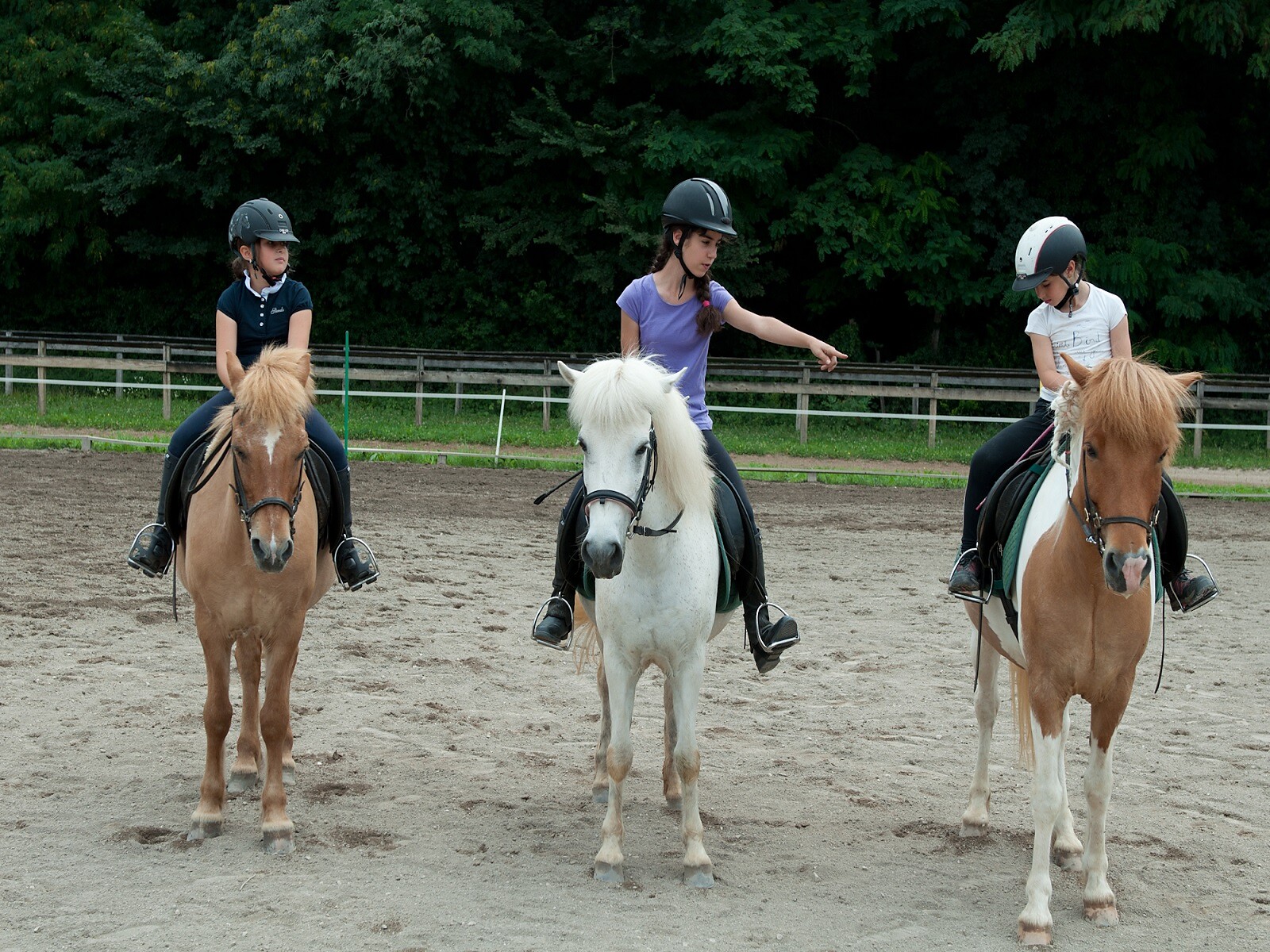 Centro equitazione Alps Coliseum