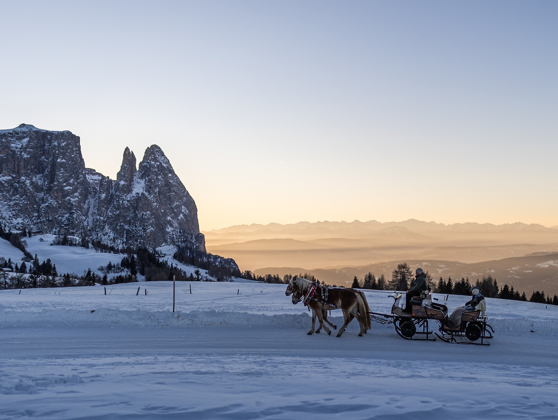Horse carriage ride Martin Gasslitter - Dolomites Region Seiser Alm - #1 - suedtirol.info