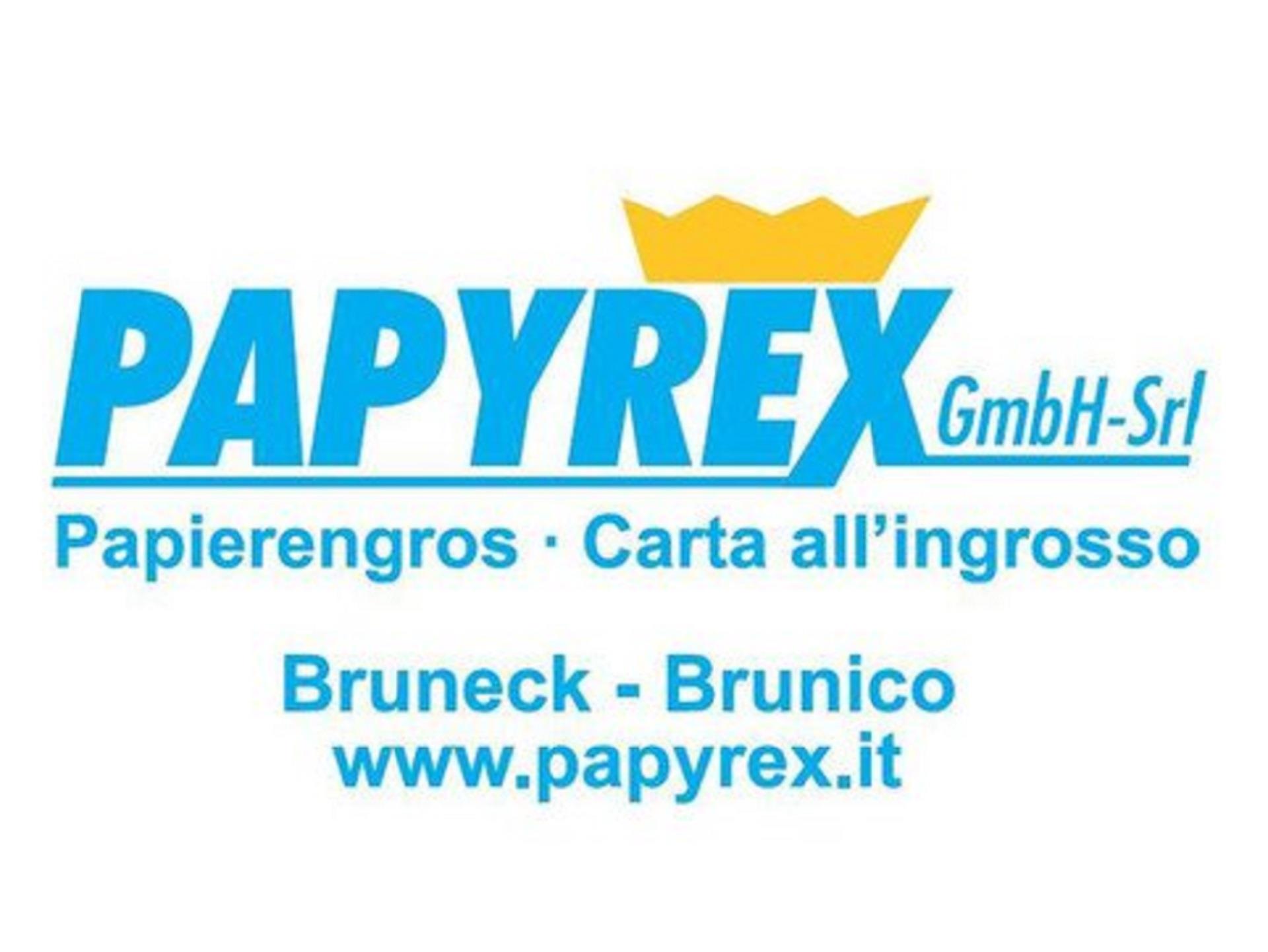 Papyrex GmbH Bruneck 1 suedtirol.info