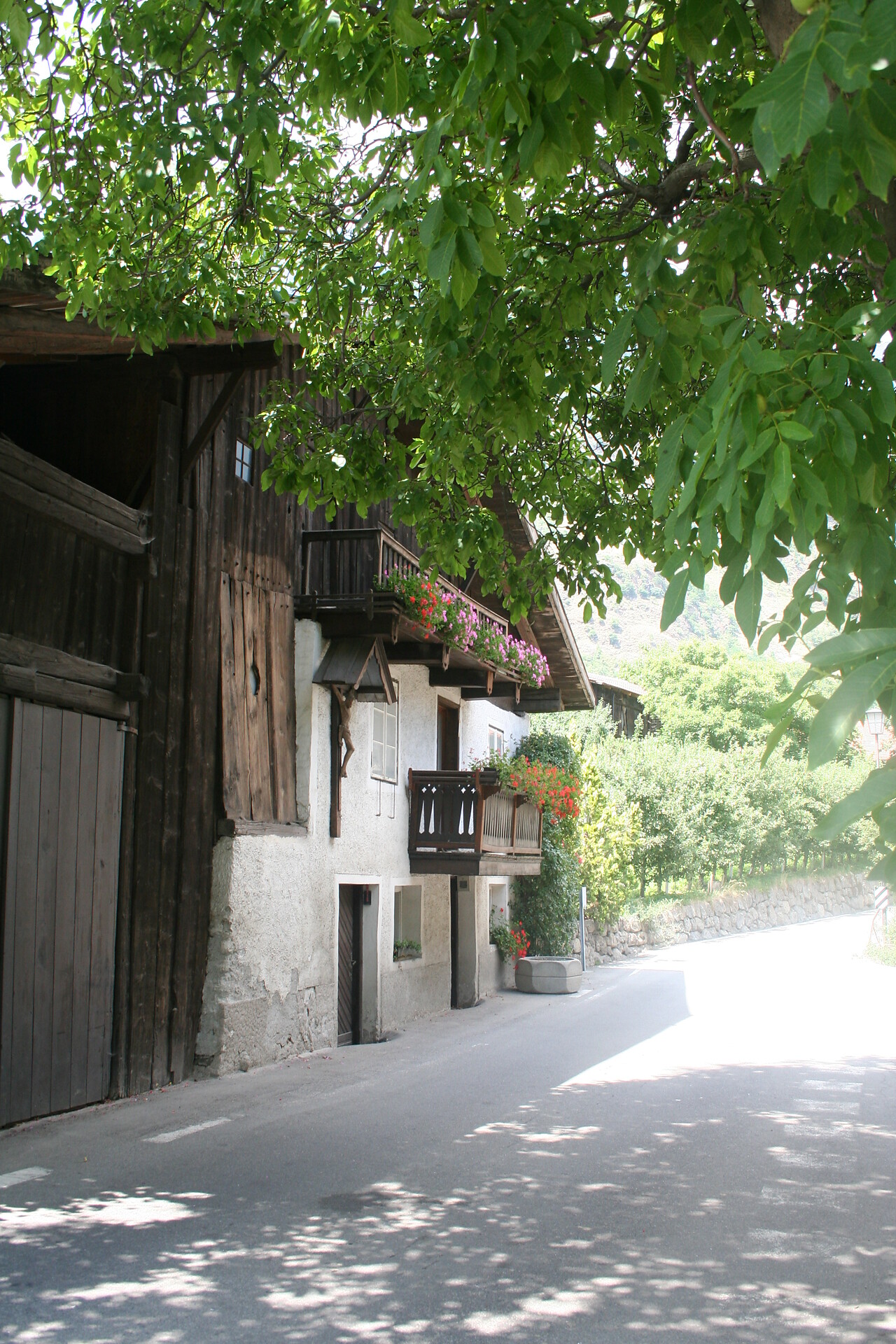 Peter Mitterhofer house