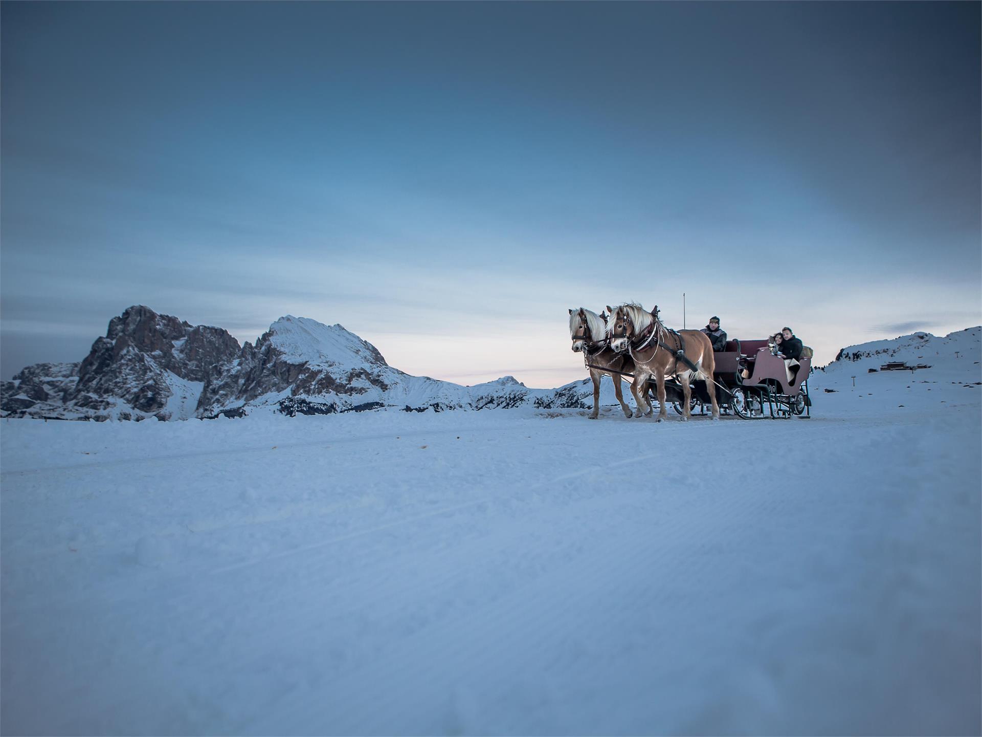 Pferdeschlittenfahrten Erich Fill Kastelruth 1 suedtirol.info