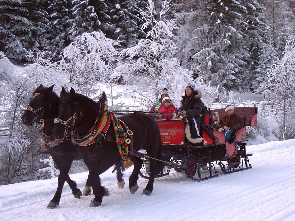 Slitta trainata da cavalli San Vigilio 1 suedtirol.info