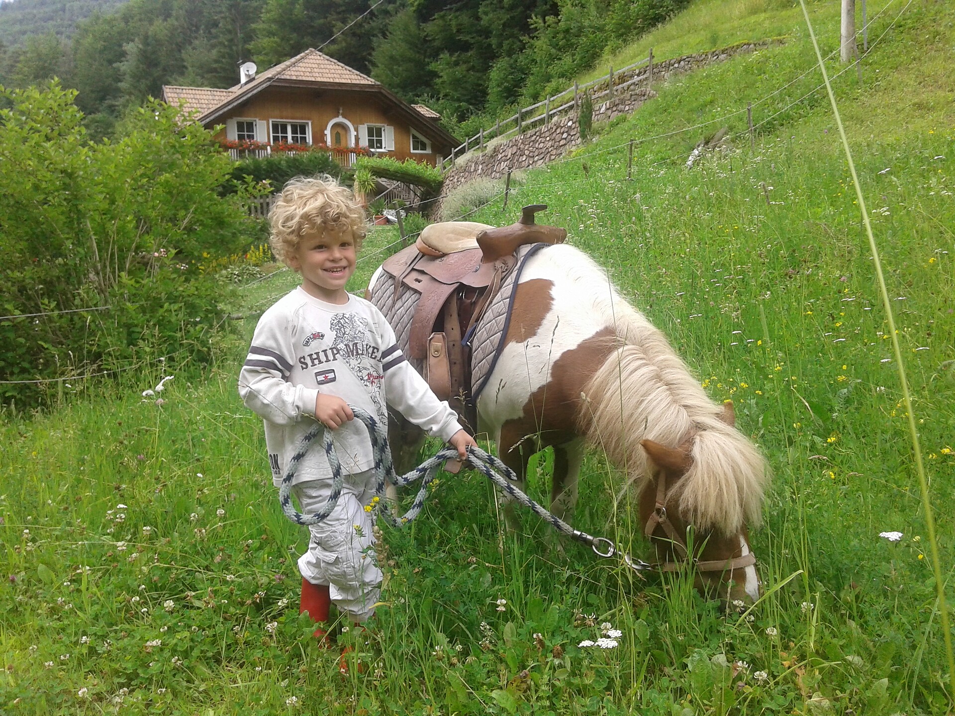 Ponyhof und Reitschule Holen -  - #1 - suedtirol.info