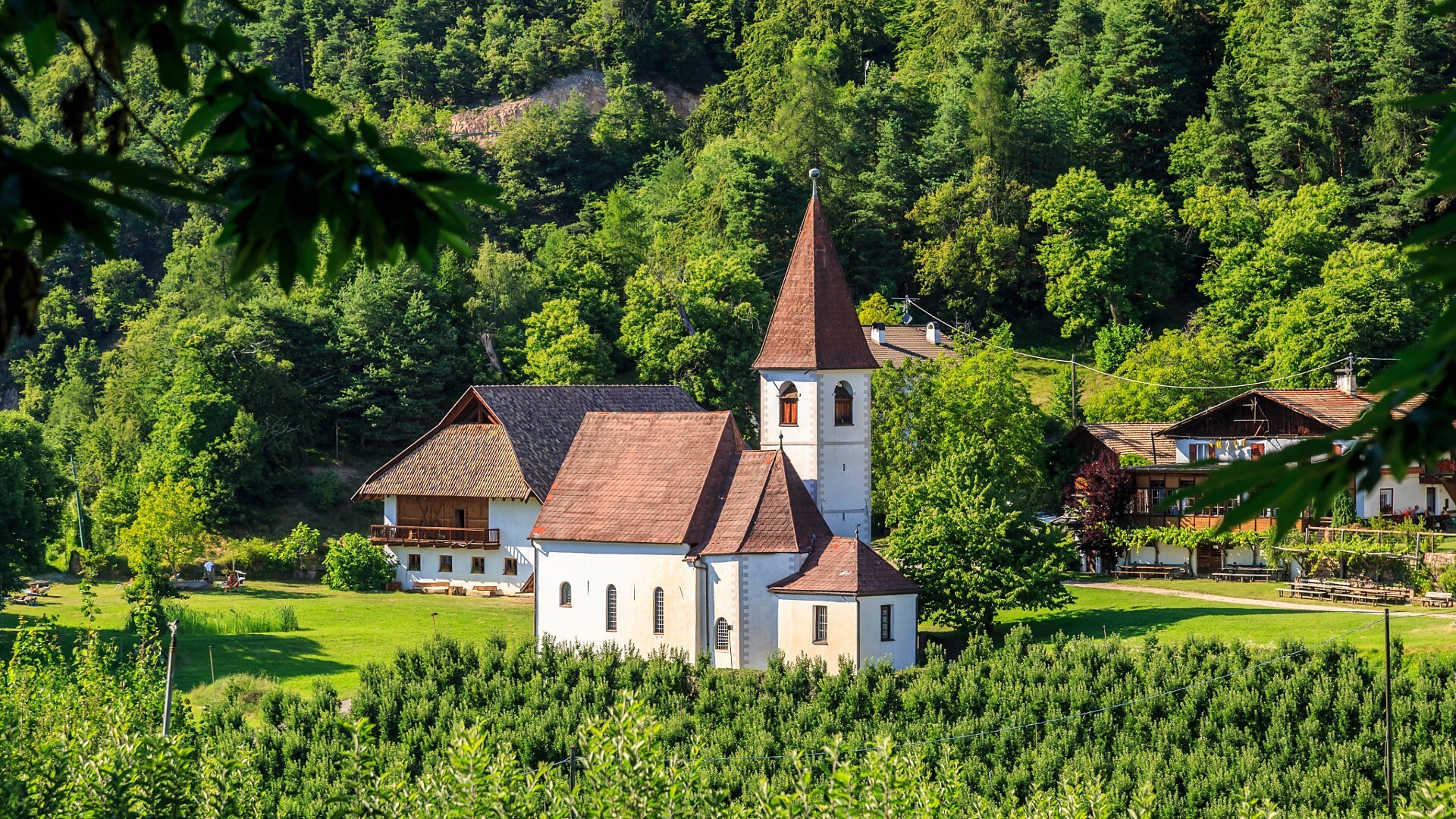 Chiesa parrocchiale del Santo Martino di Cologna - Bolzano e dintorni - #1 - suedtirol.info