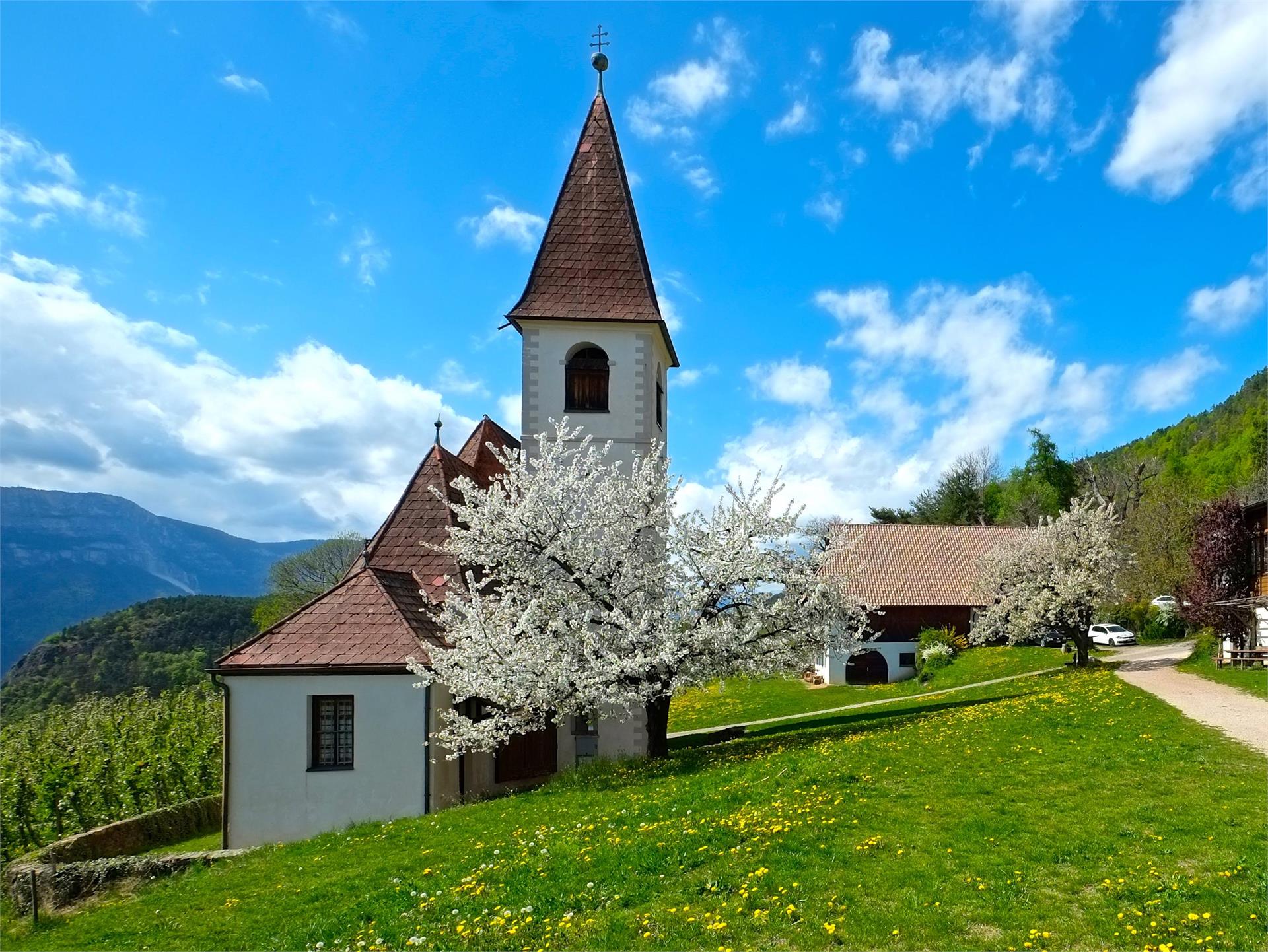 Pfarrkirche des Hl. Martin in Glaning Jenesien 1 suedtirol.info