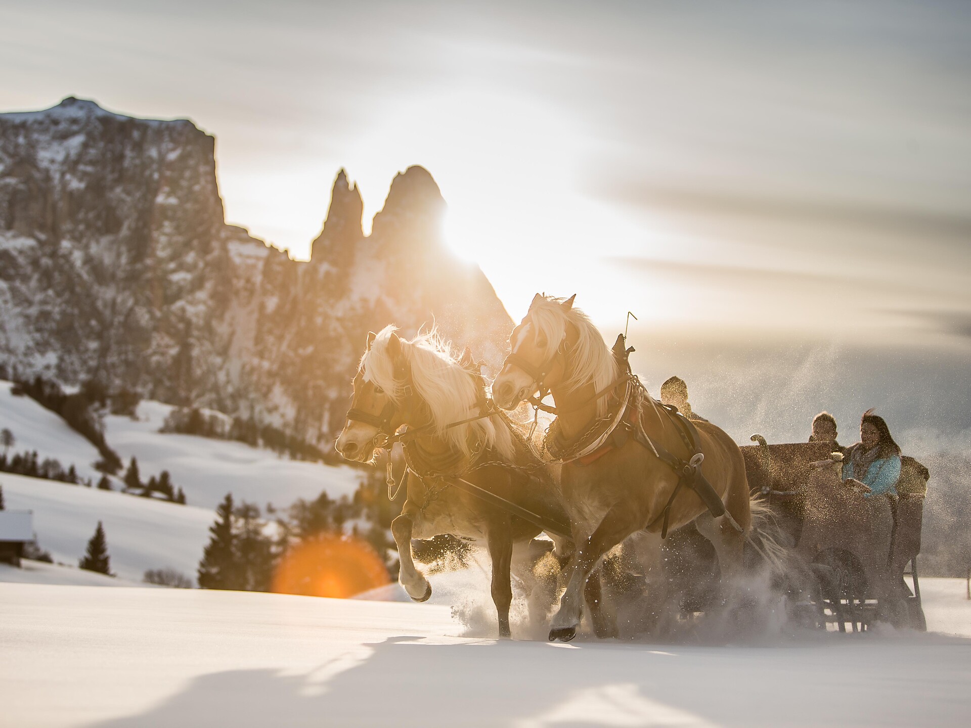 Carrozza