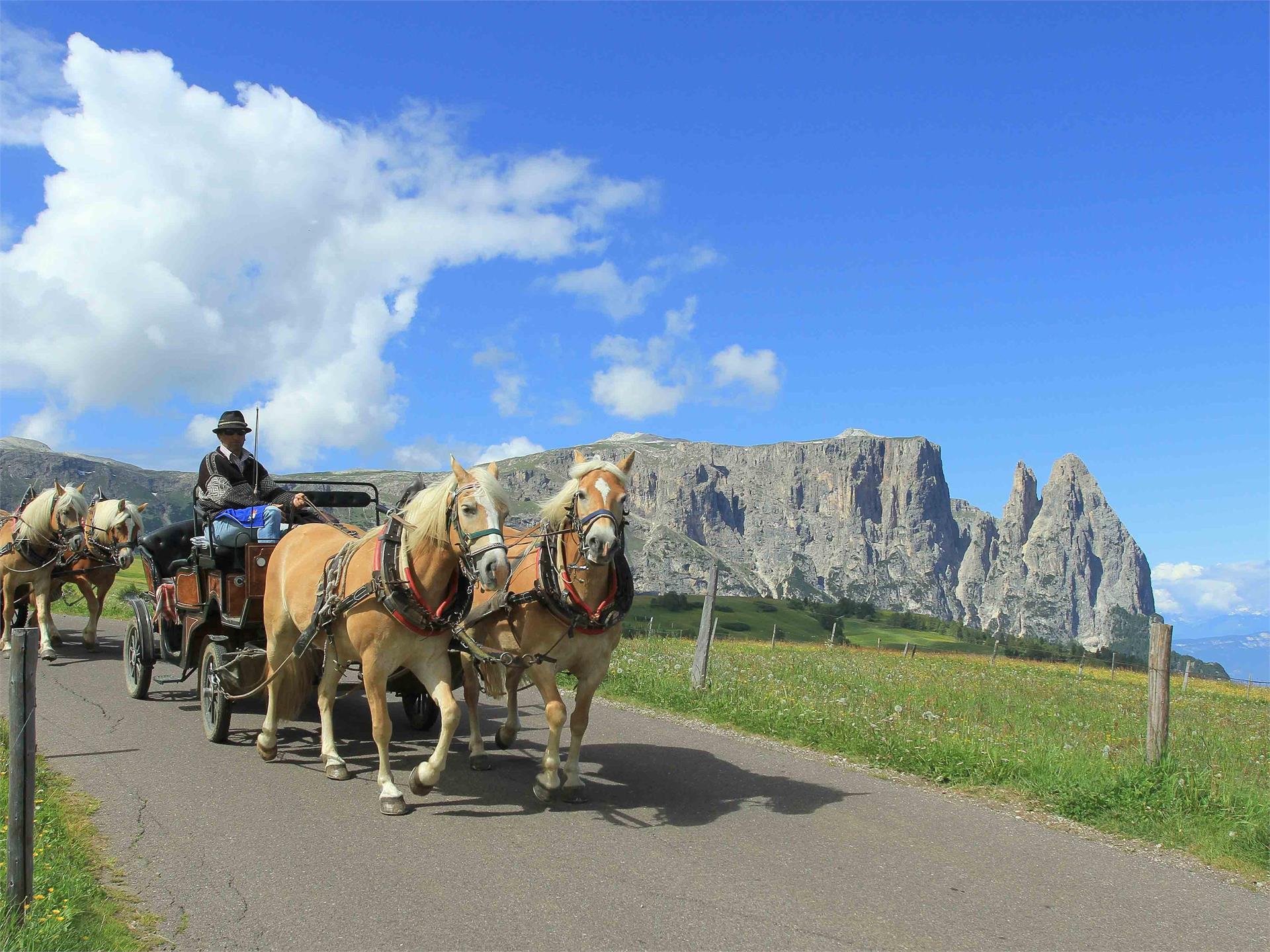 Pferdeschlitten- und Kutschenfahrten Klaus Trocker Kastelruth 1 suedtirol.info