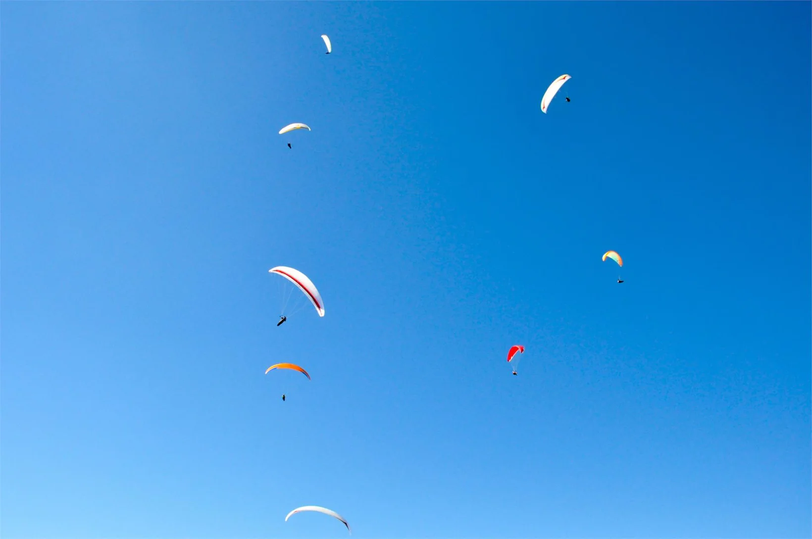 Slide 9