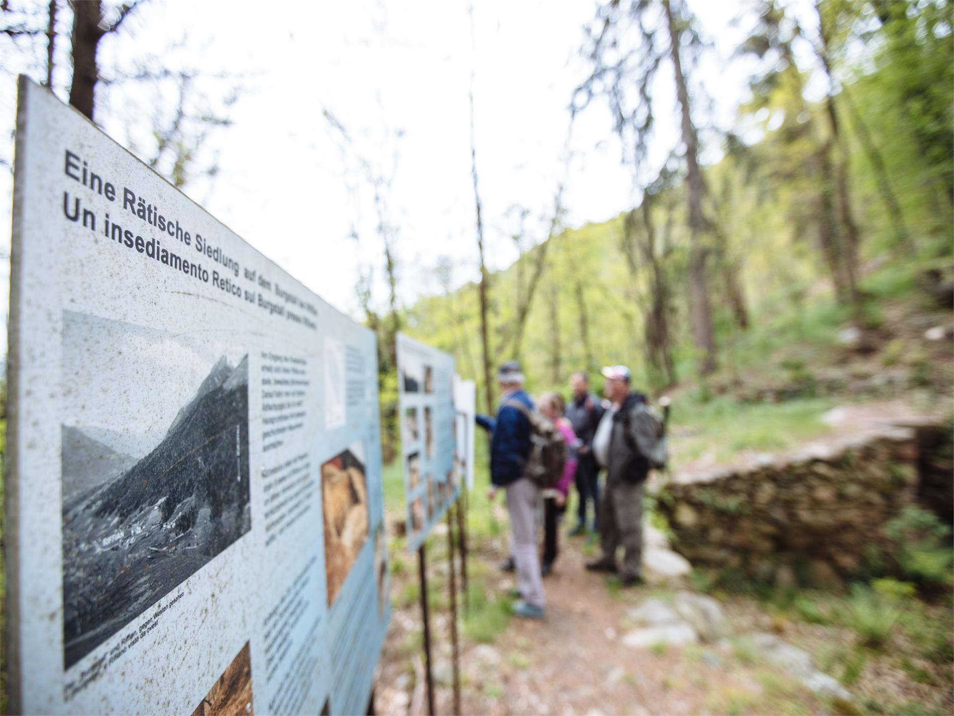 Burgstall Prehistoric Settlement Site in Riffian/Rifiano Riffian/Rifiano 3 suedtirol.info