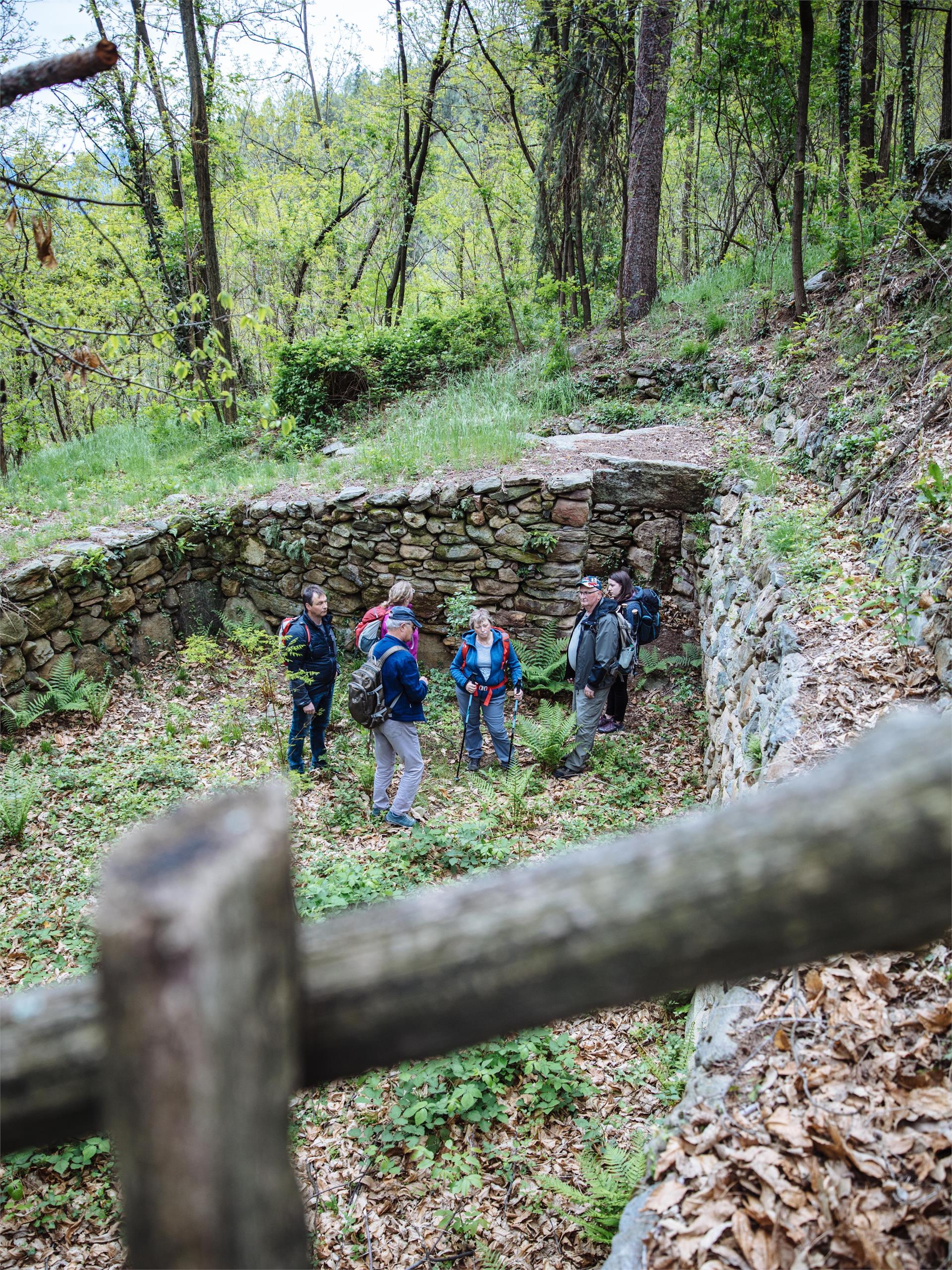 Burgstall Prehistoric Settlement Site in Riffian/Rifiano Riffian/Rifiano 2 suedtirol.info