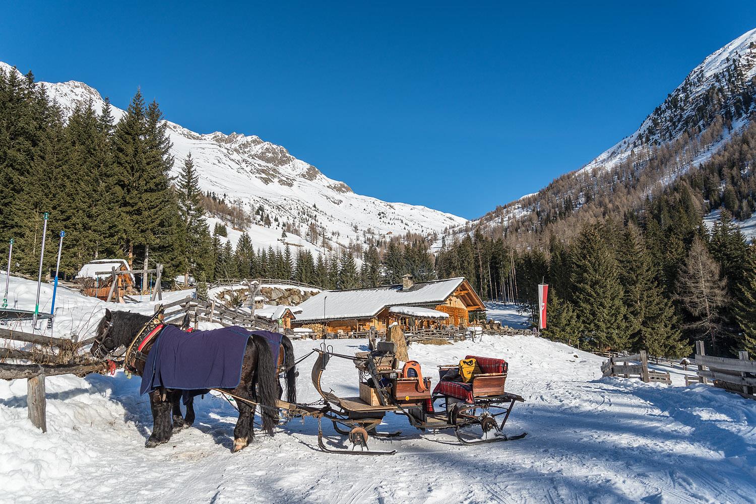 Pferdeschlittenfahrten Gsies 4 suedtirol.info