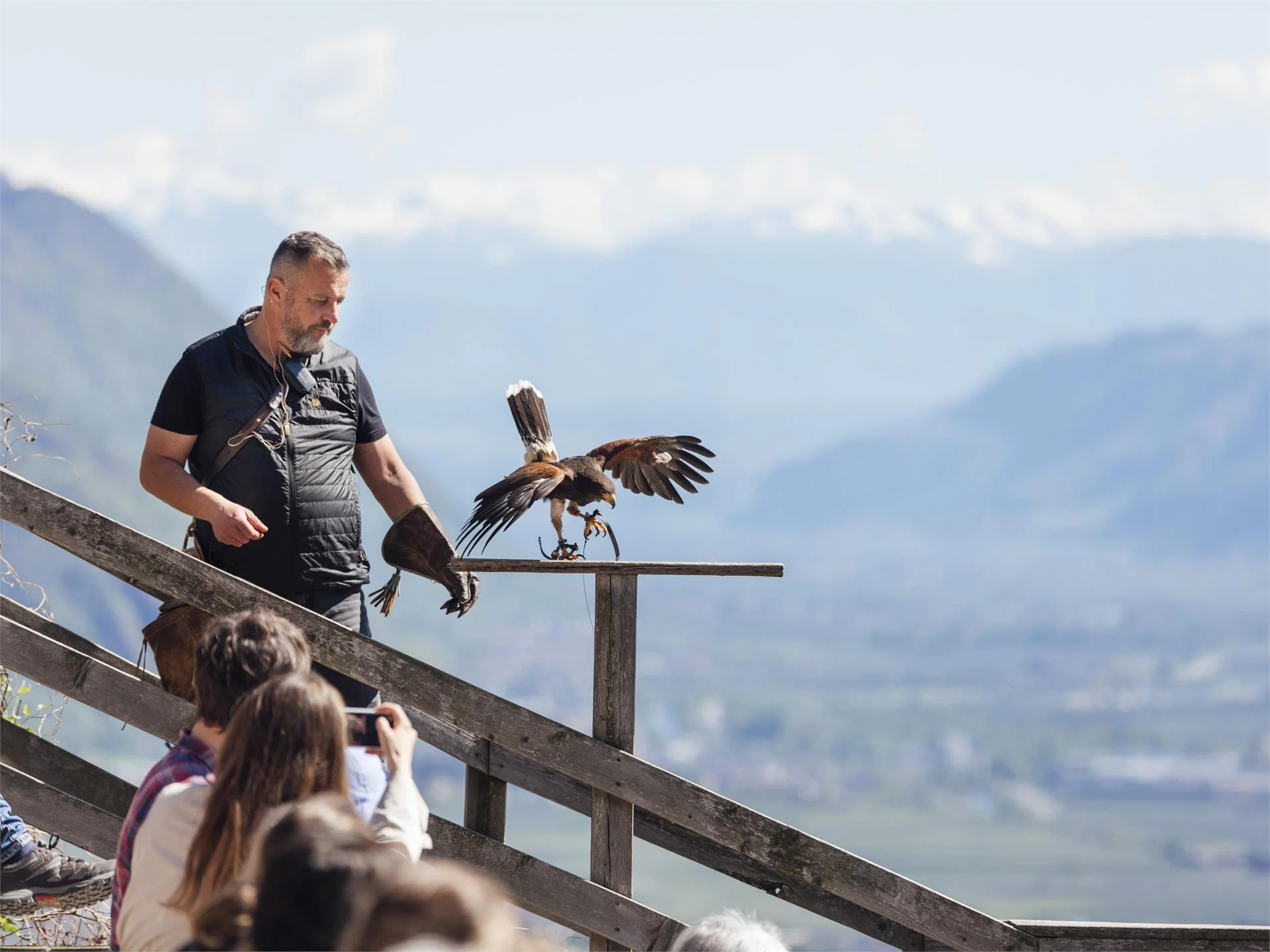 Bird Care Centre Tyrol Castle Tirol/Tirolo 1 suedtirol.info