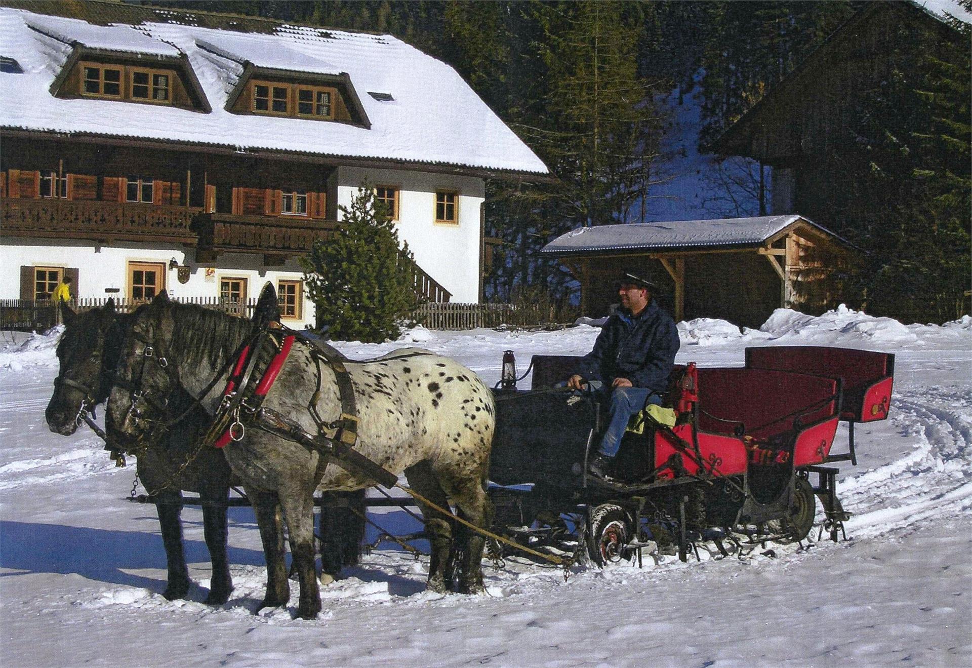 Pferdeschlitten und -kutsche Leitgeb Rasen-Antholz 1 suedtirol.info