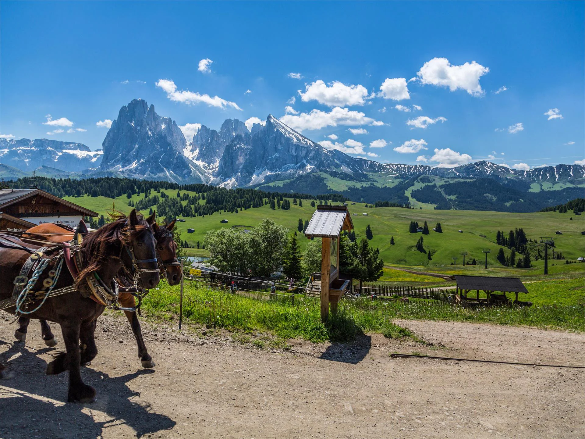 Horse carriage ride Martin Schieder Kastelruth/Castelrotto 1 suedtirol.info