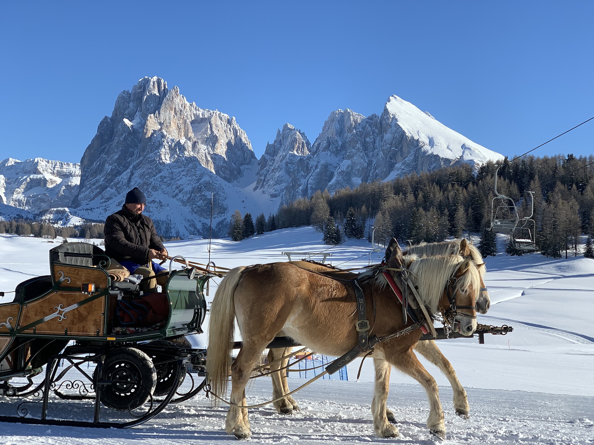 Horse carriage ride Martin Schieder