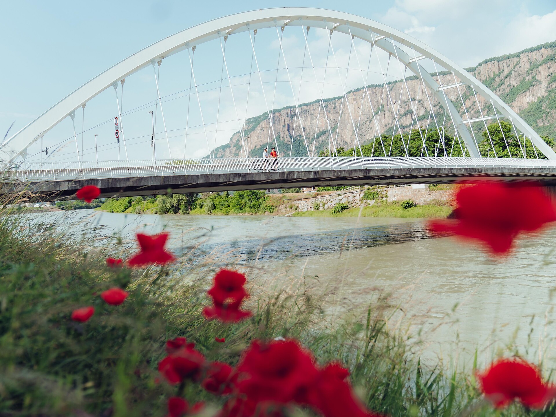Bridge of Vadena/Pfatten