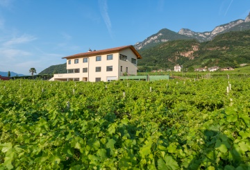 Rösslhof - Strada del Vino - #1 - suedtirol.info