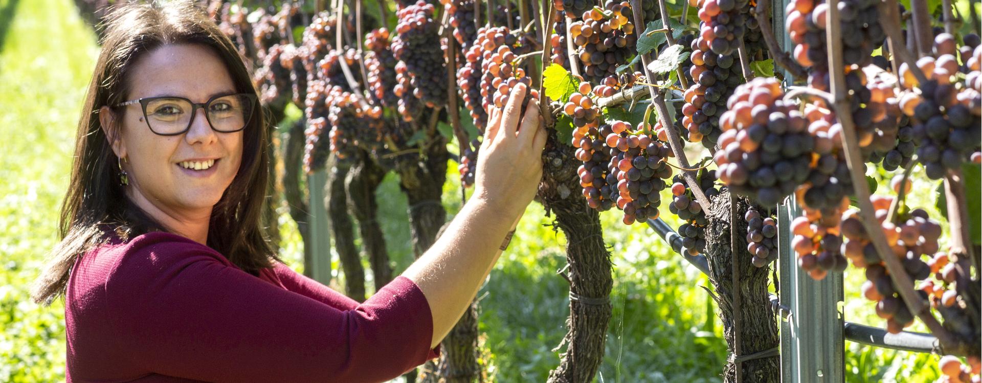 Ritterhof Weingut-Tenuta - Südtiroler Weinstraße - #1 - suedtirol.info