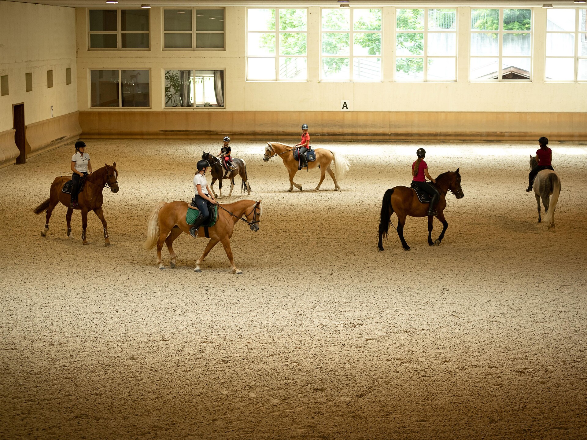 Riding in Quellenhof/Sorgente: Riding ranch Quellenhof Luxury Resort Passeier