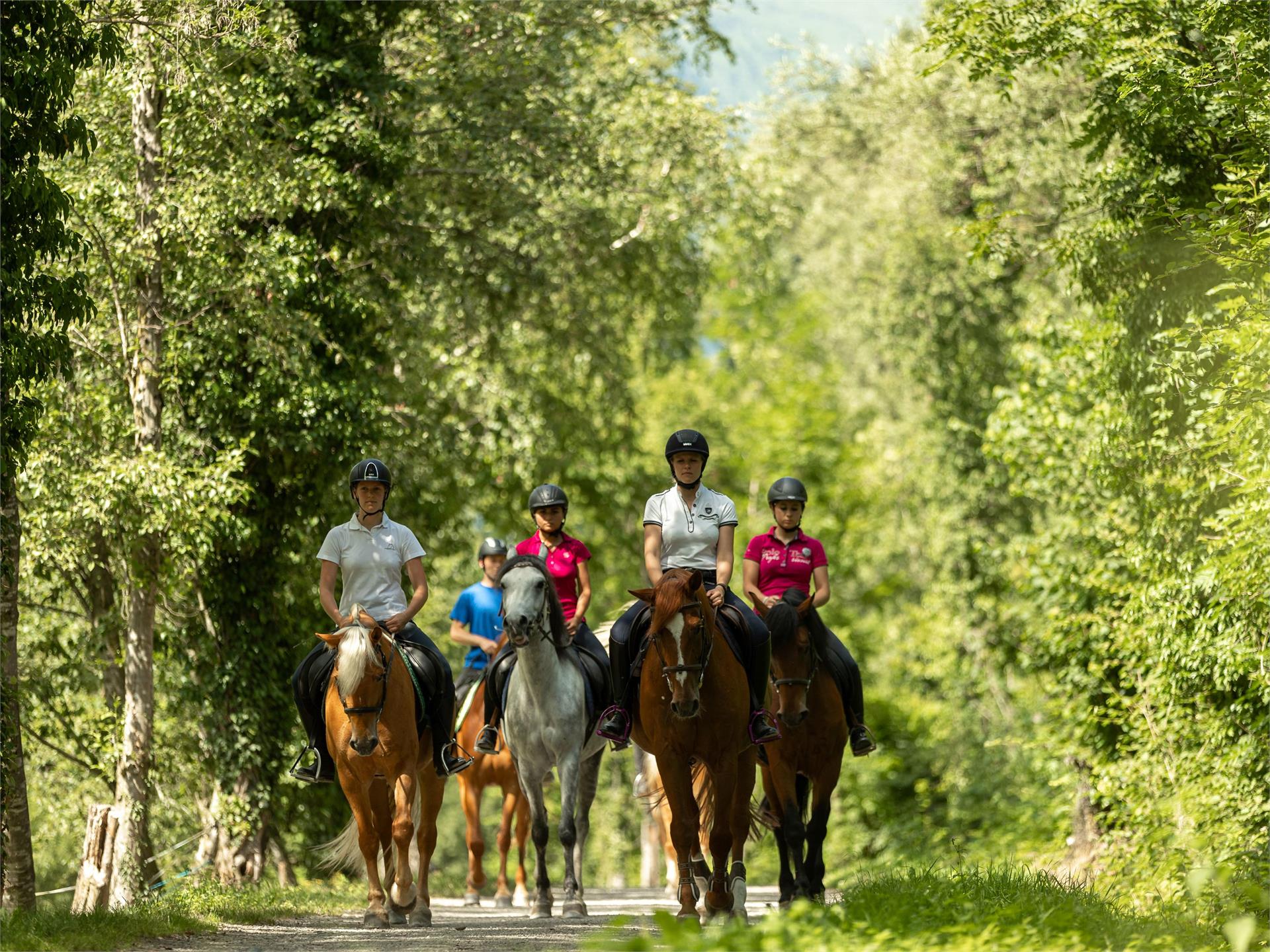 Cavalcare a Sorgente: Maneggio Quellenhof Luxury Resort Passeier San Martino in Passiria 1 suedtirol.info