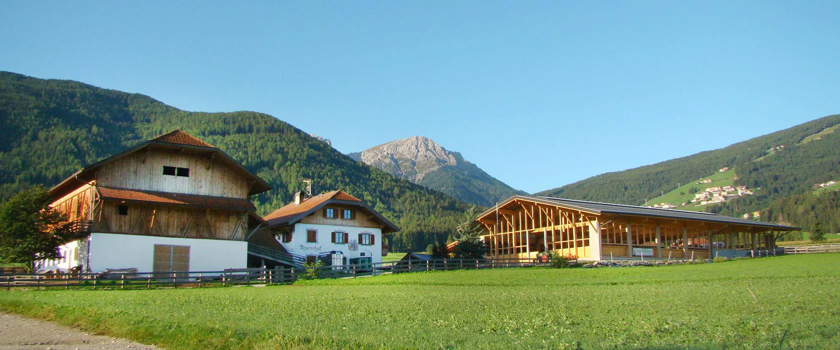 Maneggio Tharerhof Valdaora 2 suedtirol.info